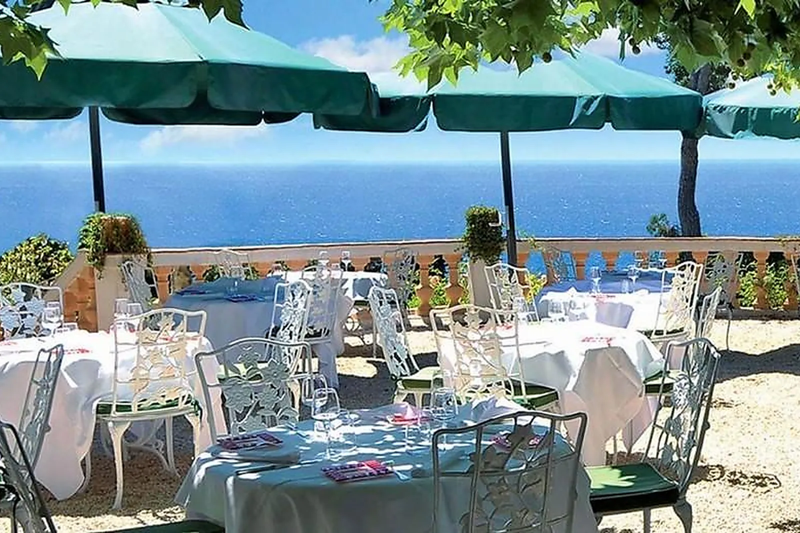 Cafés et Restaurants, RESTAURANTS - TOULON (VAR) : LES PINS PENCHÉS