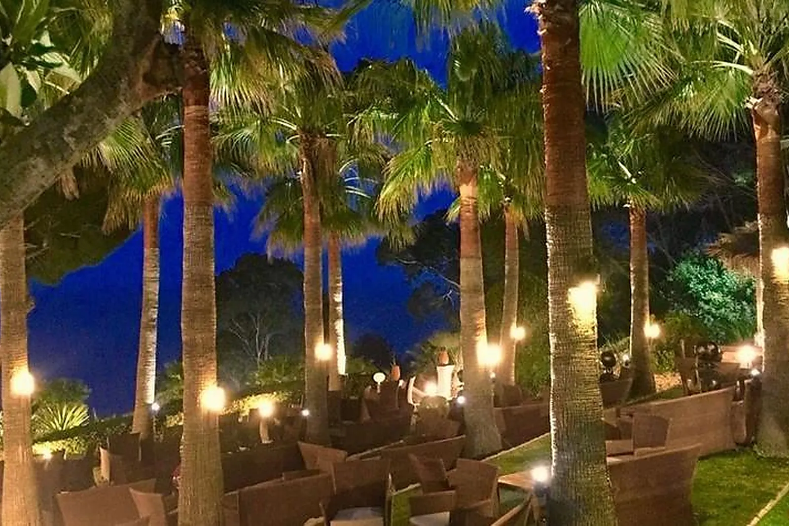 Cafés et Restaurants, RESTAURANTS - TOULON (VAR) : LES PINS PENCHÉS