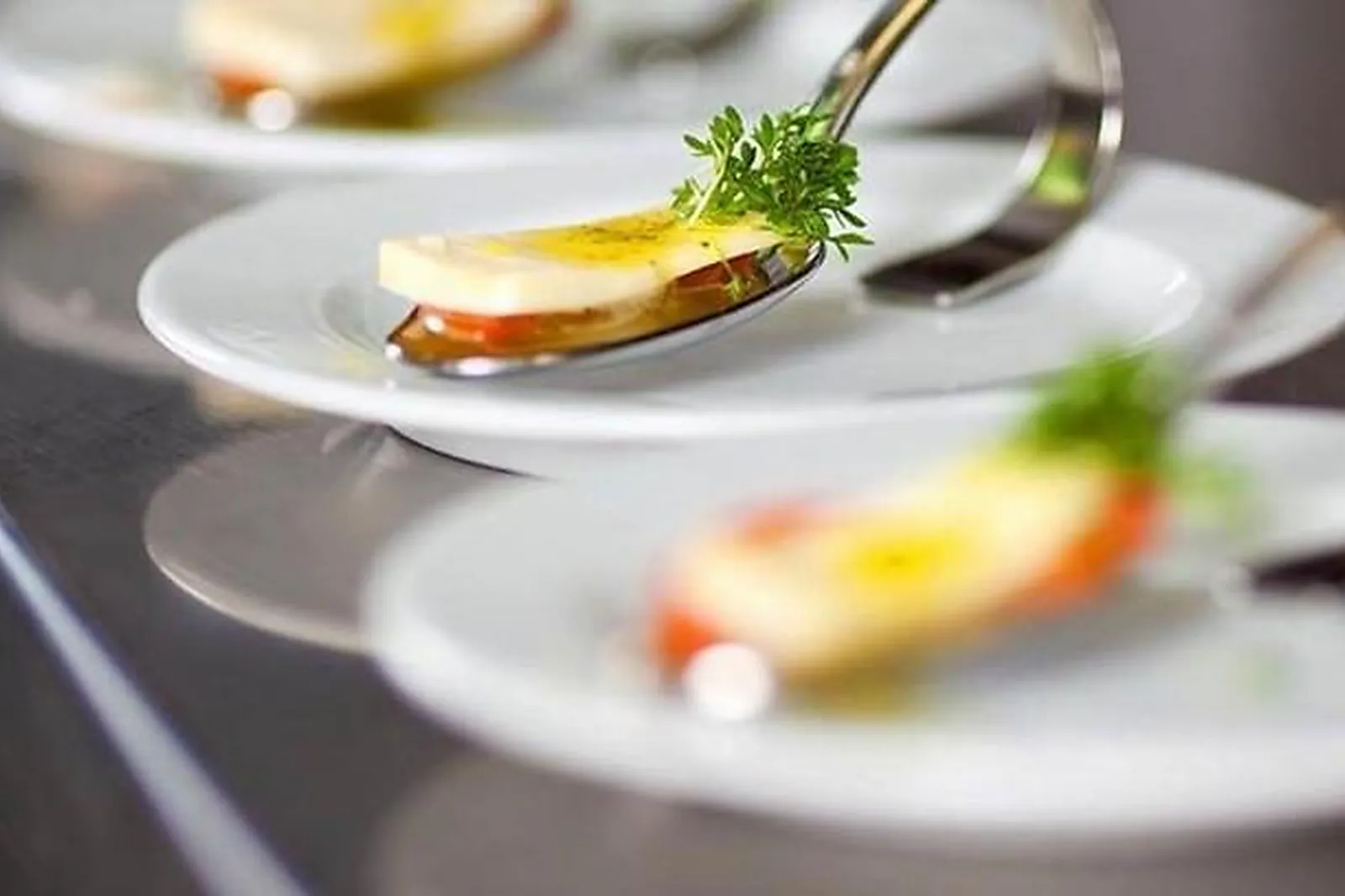 Cafés et Restaurants, RESTAURANTS - TOULON (VAR) : LES PINS PENCHÉS