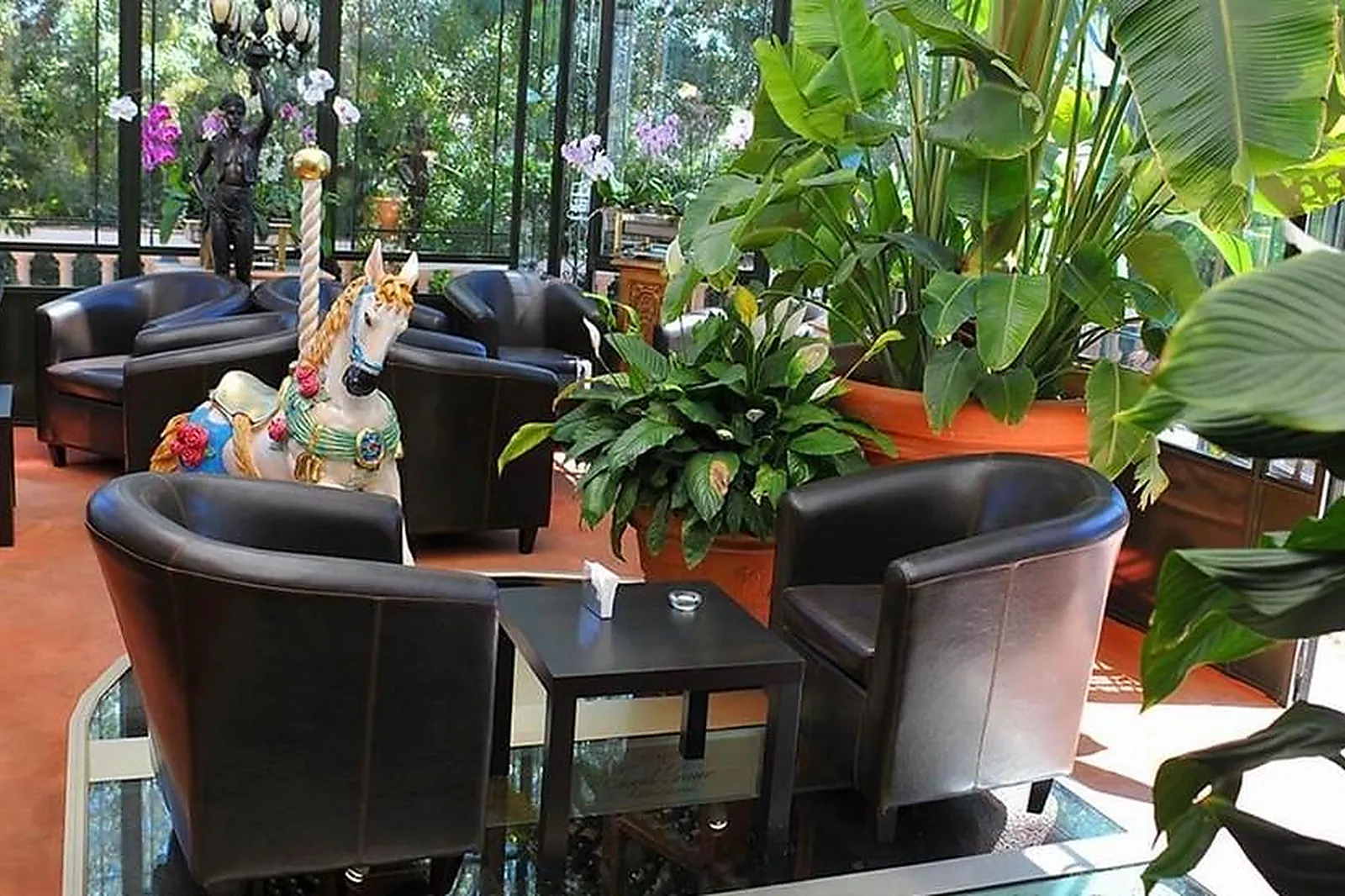 Cafés et Restaurants, RESTAURANTS - TOULON (VAR) : LES PINS PENCHÉS