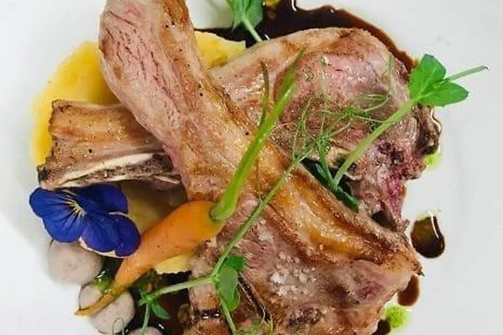 Cafés et Restaurants, RESTAURANTS - TOULOUSE (HAUTE-GARONNE) : AUX PIEDS SOUS LA TABLE