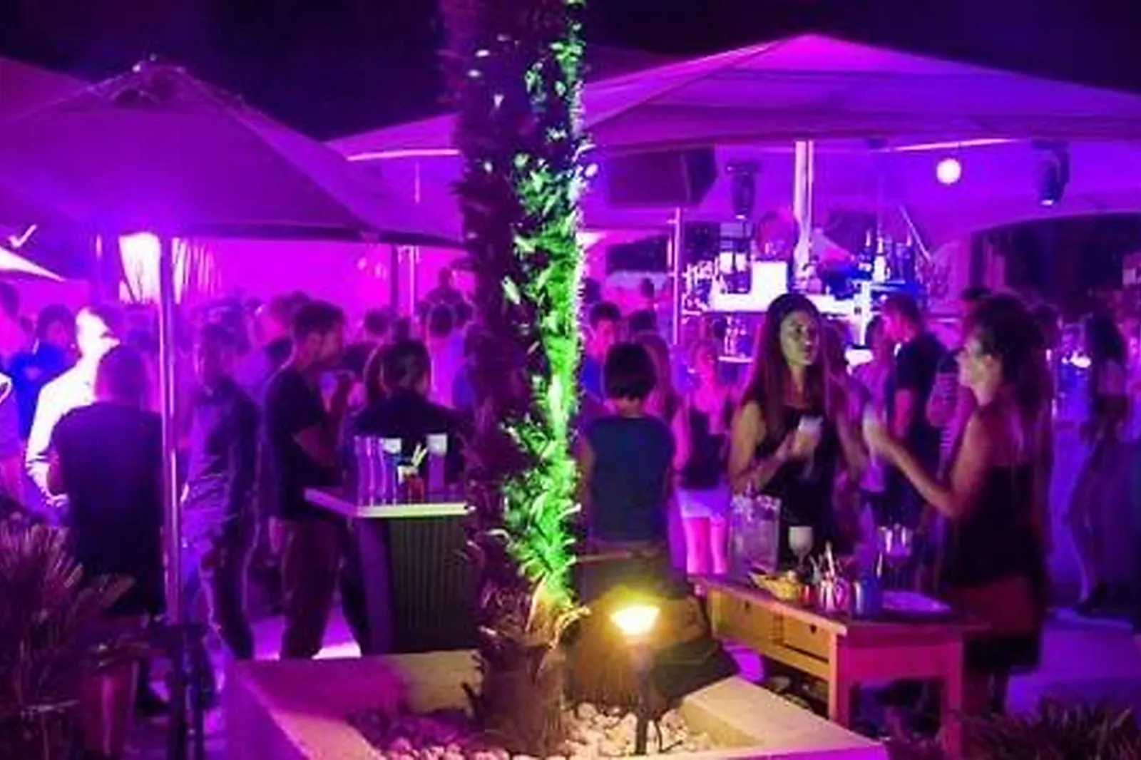 Cafés et Restaurants, RESTAURANTS - TOULOUSE (HAUTE-GARONNE) : LA VOILE BLANCHE