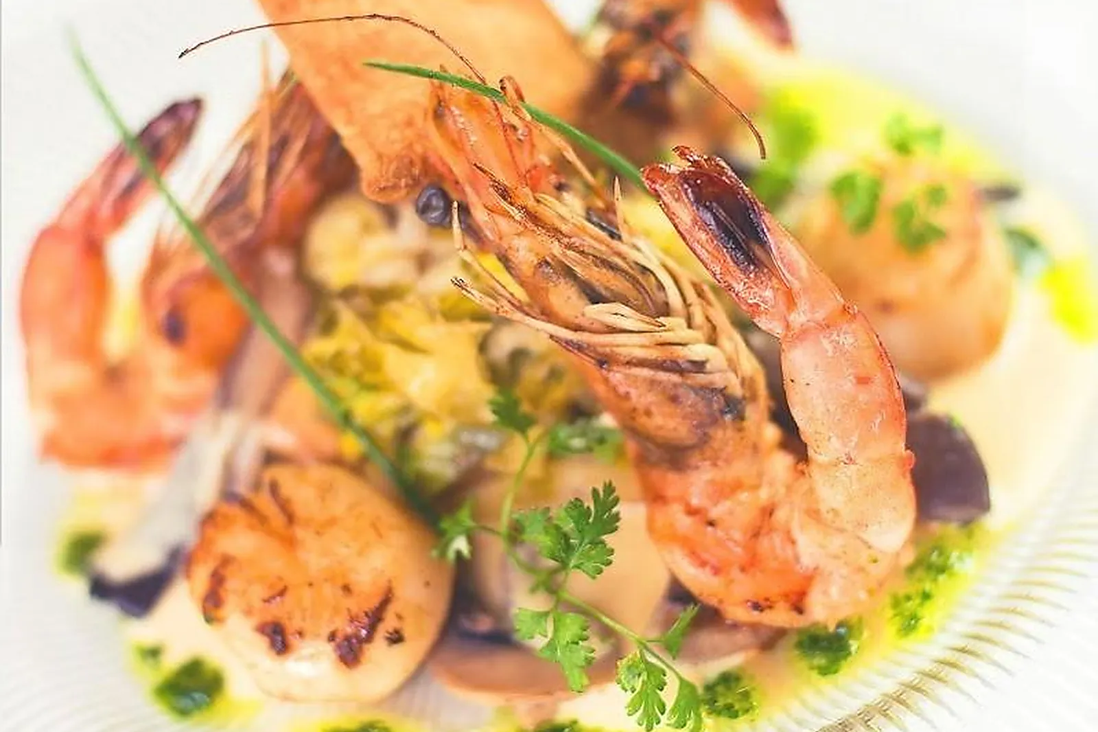 Cafés et Restaurants, RESTAURANTS - TOULOUSE (HAUTE-GARONNE) : LE PAVÉ DES MINIMES