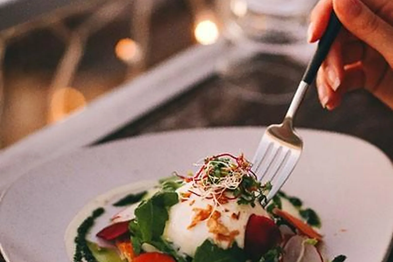 Cafés et Restaurants, RESTAURANTS - TOULOUSE (HAUTE-GARONNE) : MA BICHE SUR LE TOIT