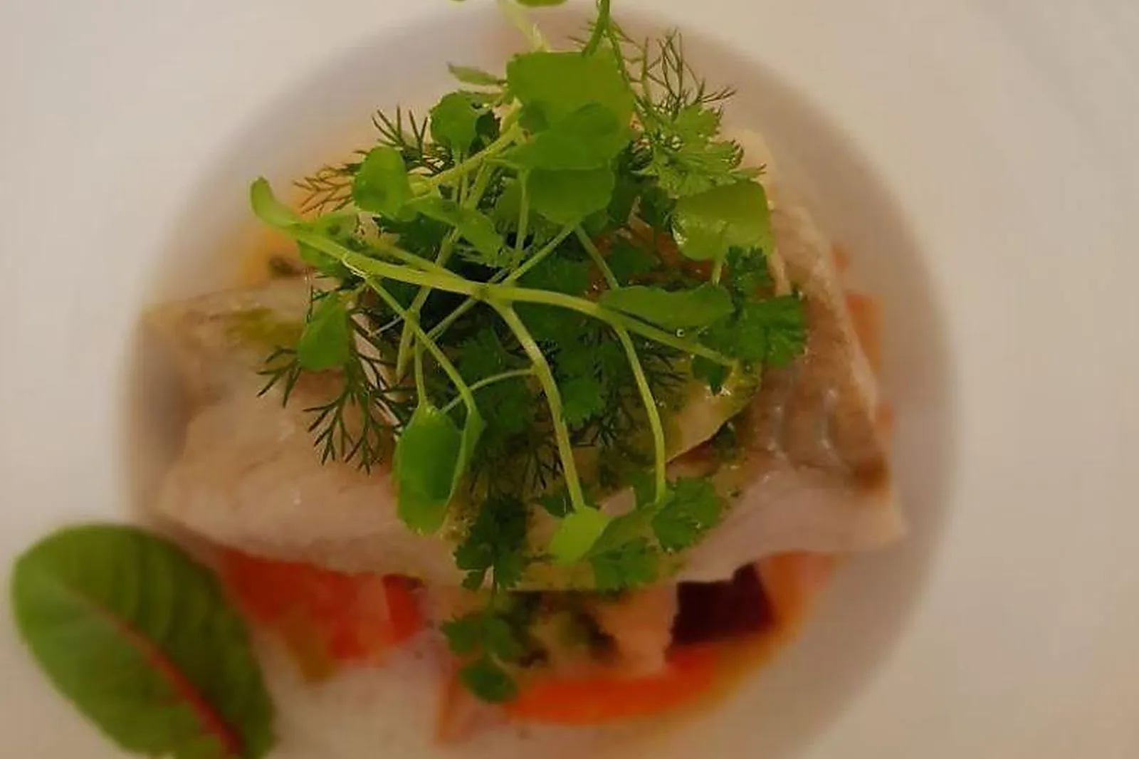 Cafés et Restaurants, RESTAURANTS - TOULOUSE (HAUTE-GARONNE) : MAS DE DARDAGNA