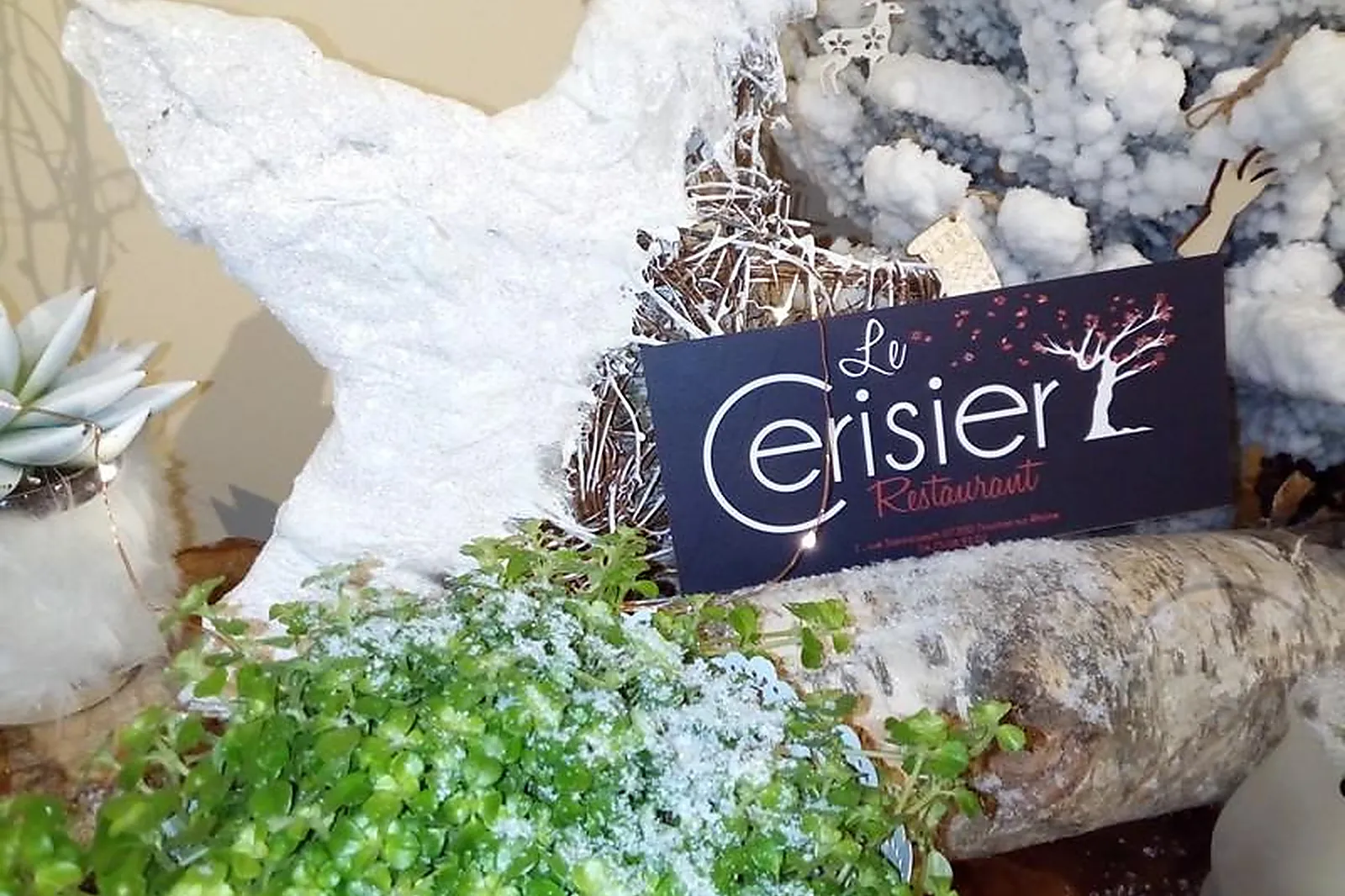 Cafés et Restaurants, RESTAURANTS - TOURNON-SUR-RHONE (ARDÈCHE) : LE CERISIER