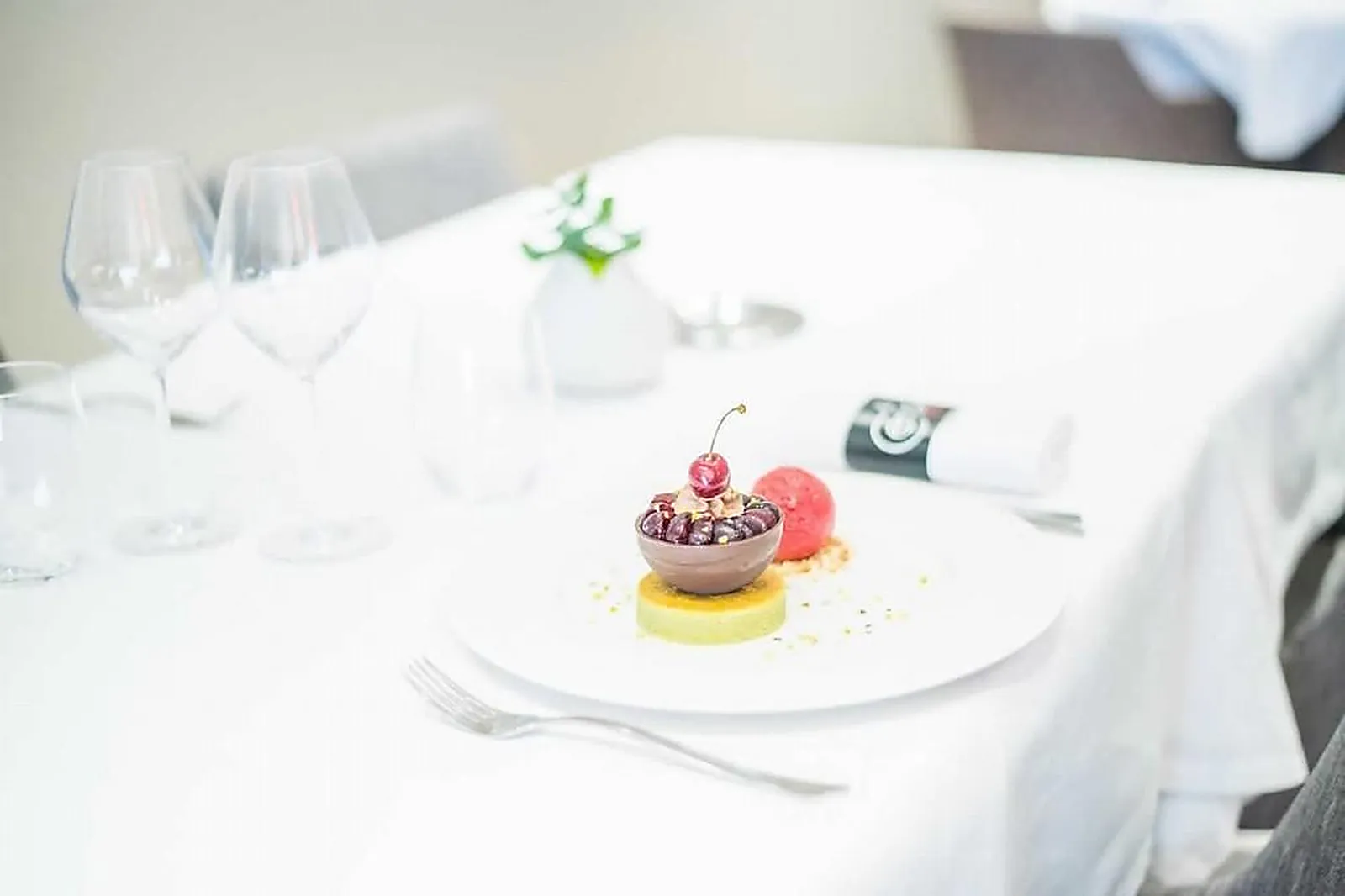 Cafés et Restaurants, RESTAURANTS - TOURNON-SUR-RHONE (ARDÈCHE) : LE CERISIER