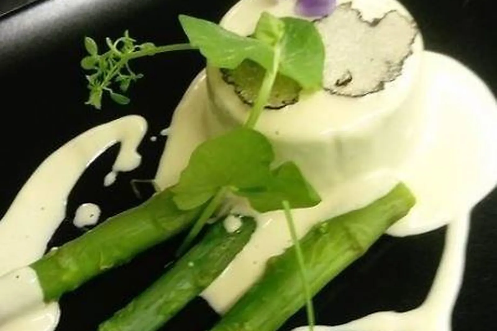 Cafés et Restaurants, RESTAURANTS - VALENCIENNES (NORD) : LE MUSIGNY