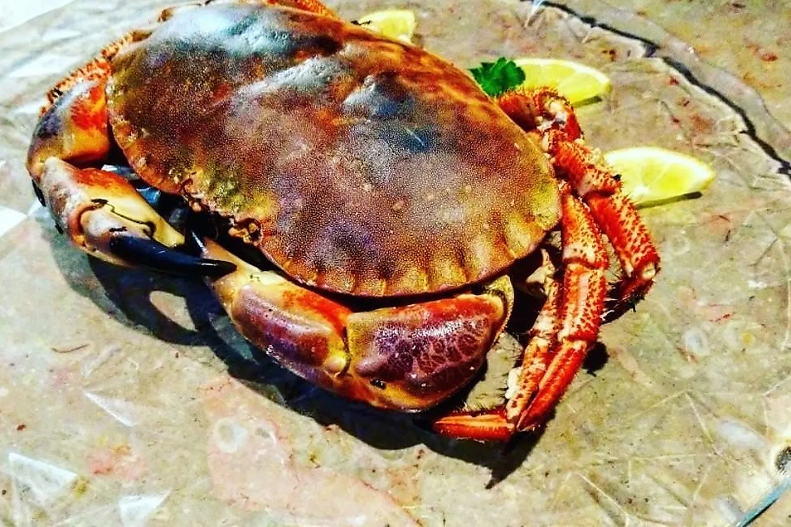 Cafés et Restaurants, RESTAURANTS - VICHY (ALLIER) : L’HIPPOCAMPE