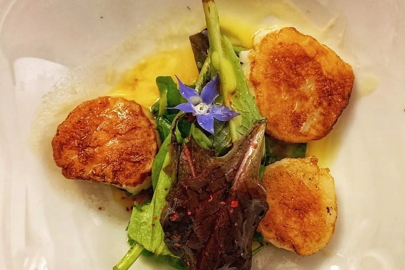 Cafés et Restaurants, RESTAURANTS - WILLGOTTHEIM (BAS-RHIN) : LA COUR DE LISE