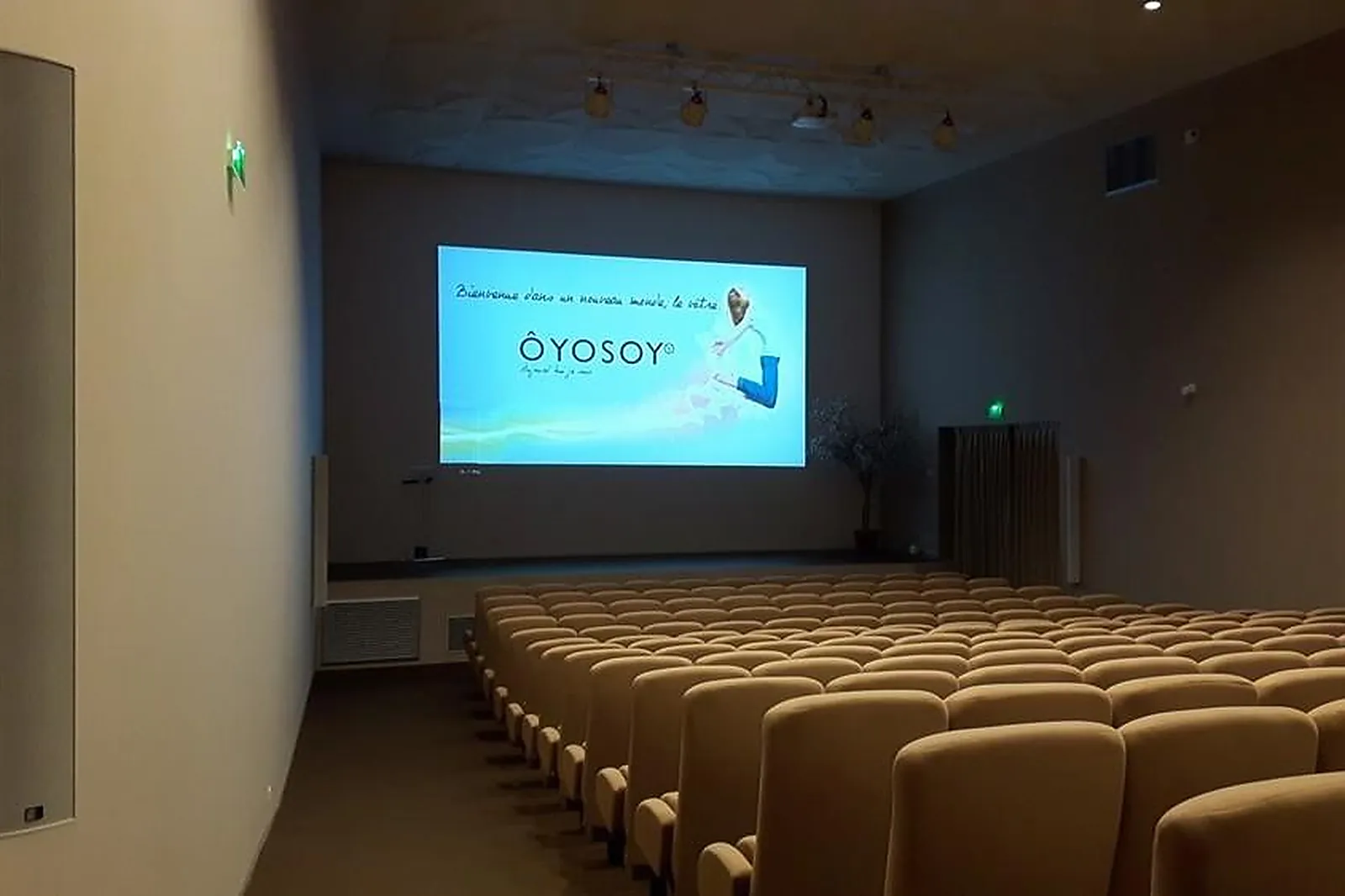 Prestataire Technique Audiovisuel, SONORISATION - VIDÉO - THONON-LES-BAINS (HAUTE-SAVOIE) : IBS SON ET LUMIÈRE