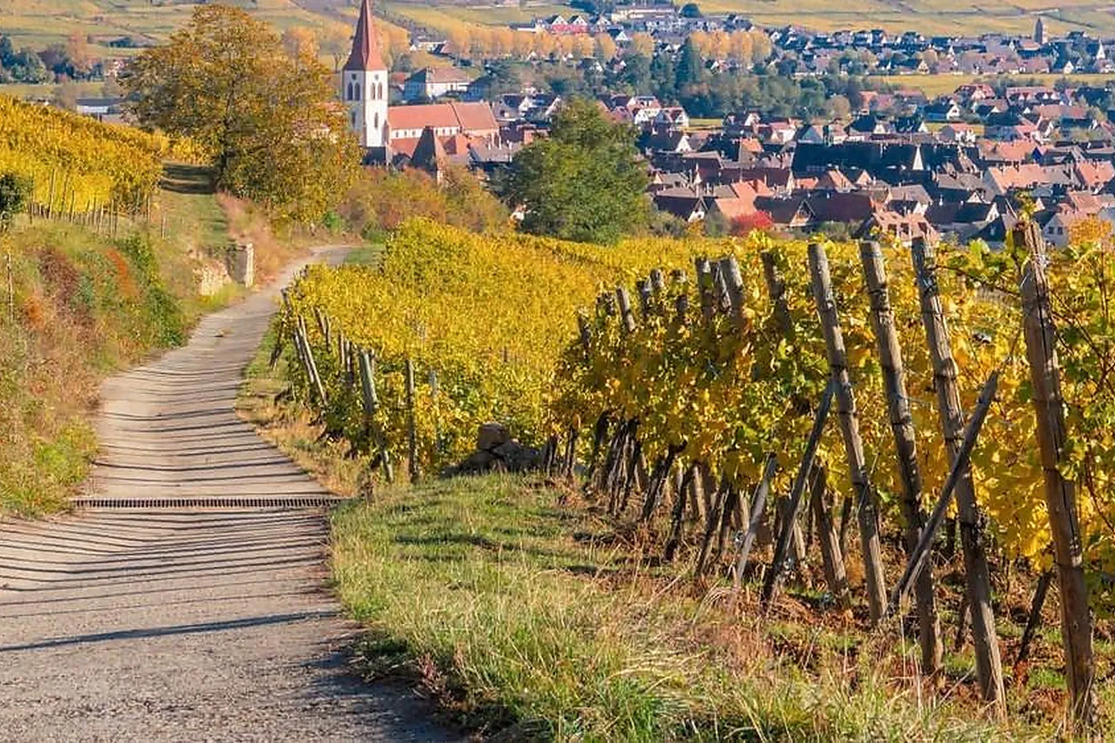 Team building sportif, TEAM BUILDING - BARR (BAS-RHIN) : SPOT 4 BIKES