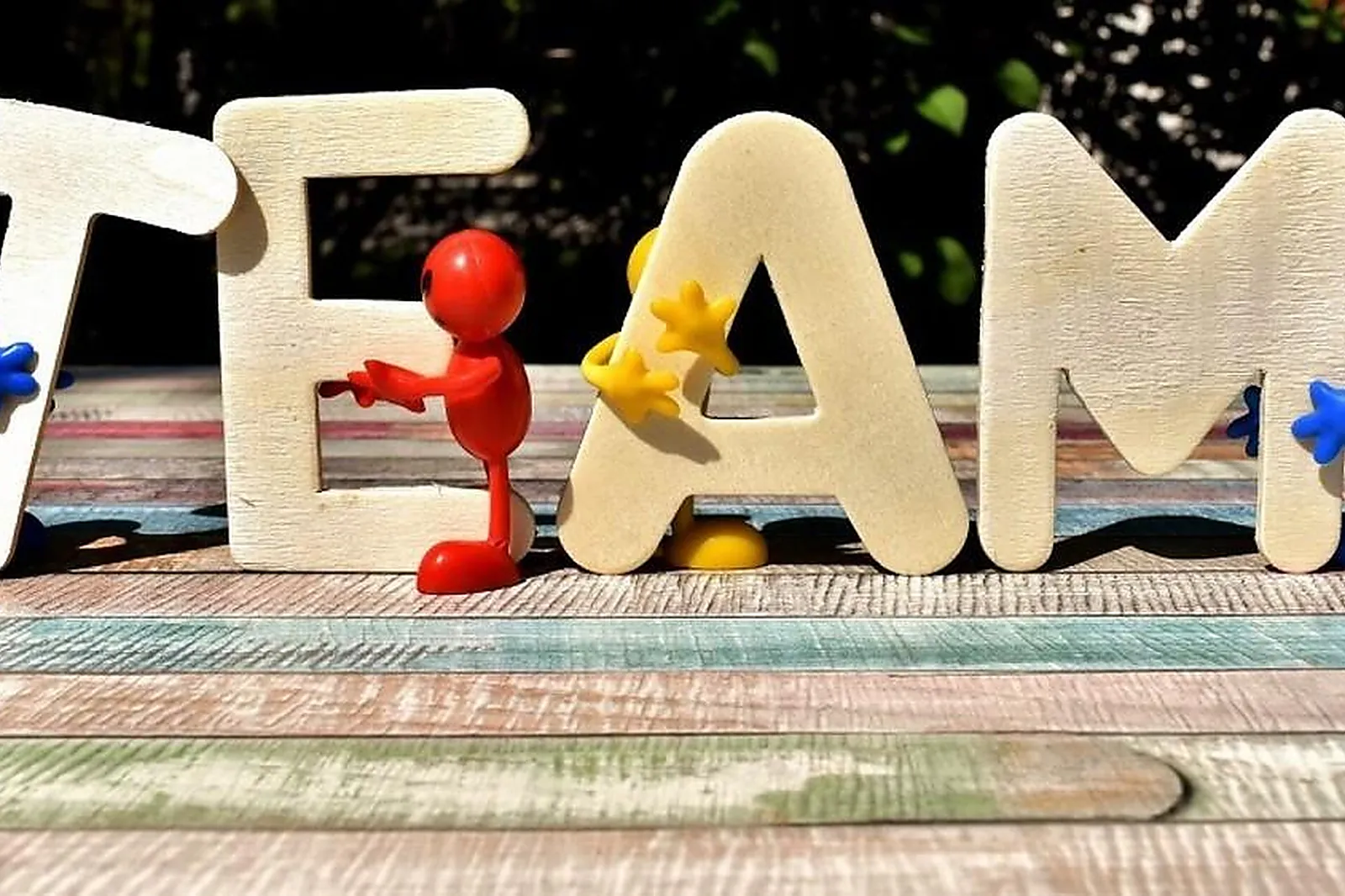 Salle de réunion, TEAM BUILDING - BATILLY-EN-PUISAYE (LOIRET) : AFABLECO