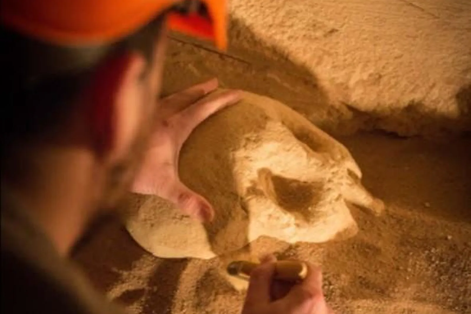 Team building sportif, TEAM BUILDING - BRIVE-LA-GAILLARDE (CORRÈZE) : GAILLARD ACADÉMIE