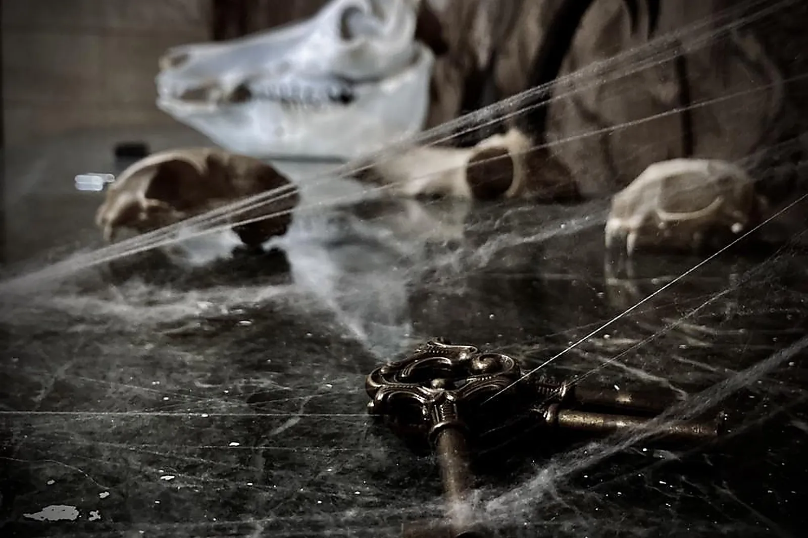 Team building insolite, TEAM BUILDING - CLICHY (HAUTS-DE-SEINE) : DEATHSCAPE