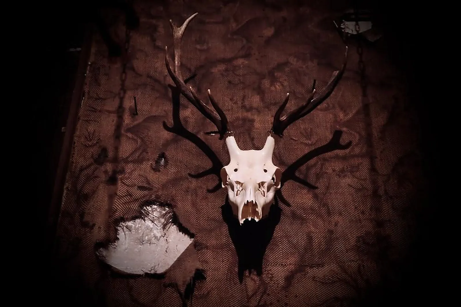 Team building insolite, TEAM BUILDING - CLICHY (HAUTS-DE-SEINE) : DEATHSCAPE