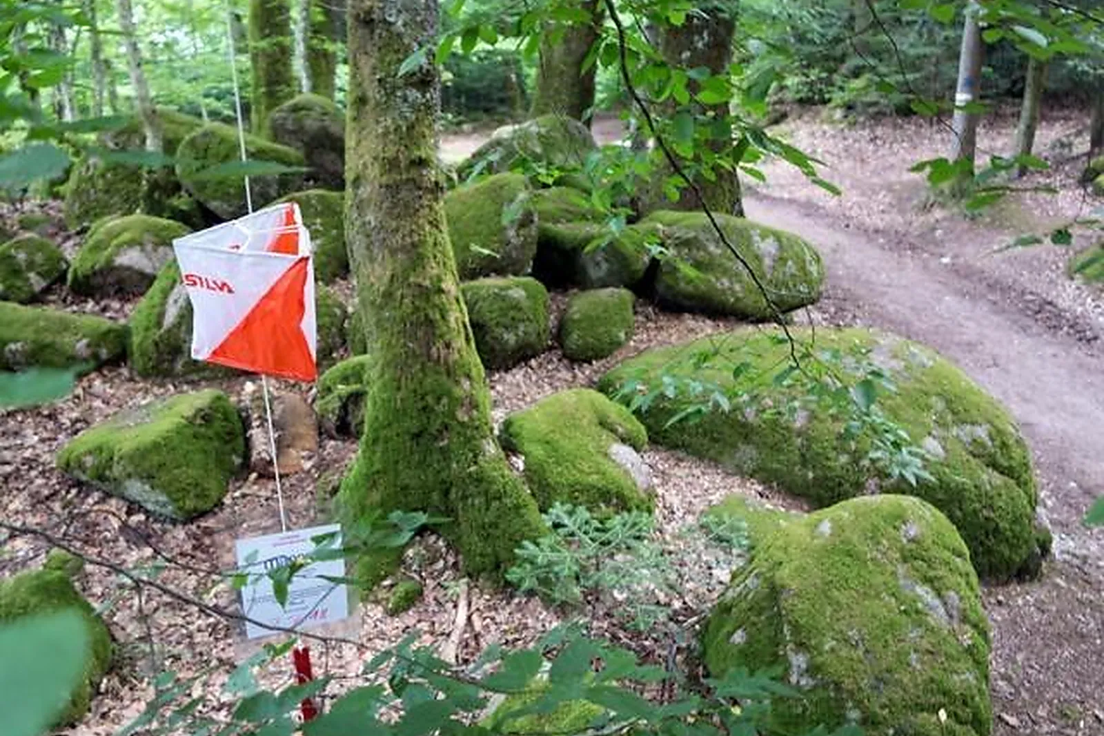 Team building sportif, TEAM BUILDING - EPFIG (BAS-RHIN) : MAORN