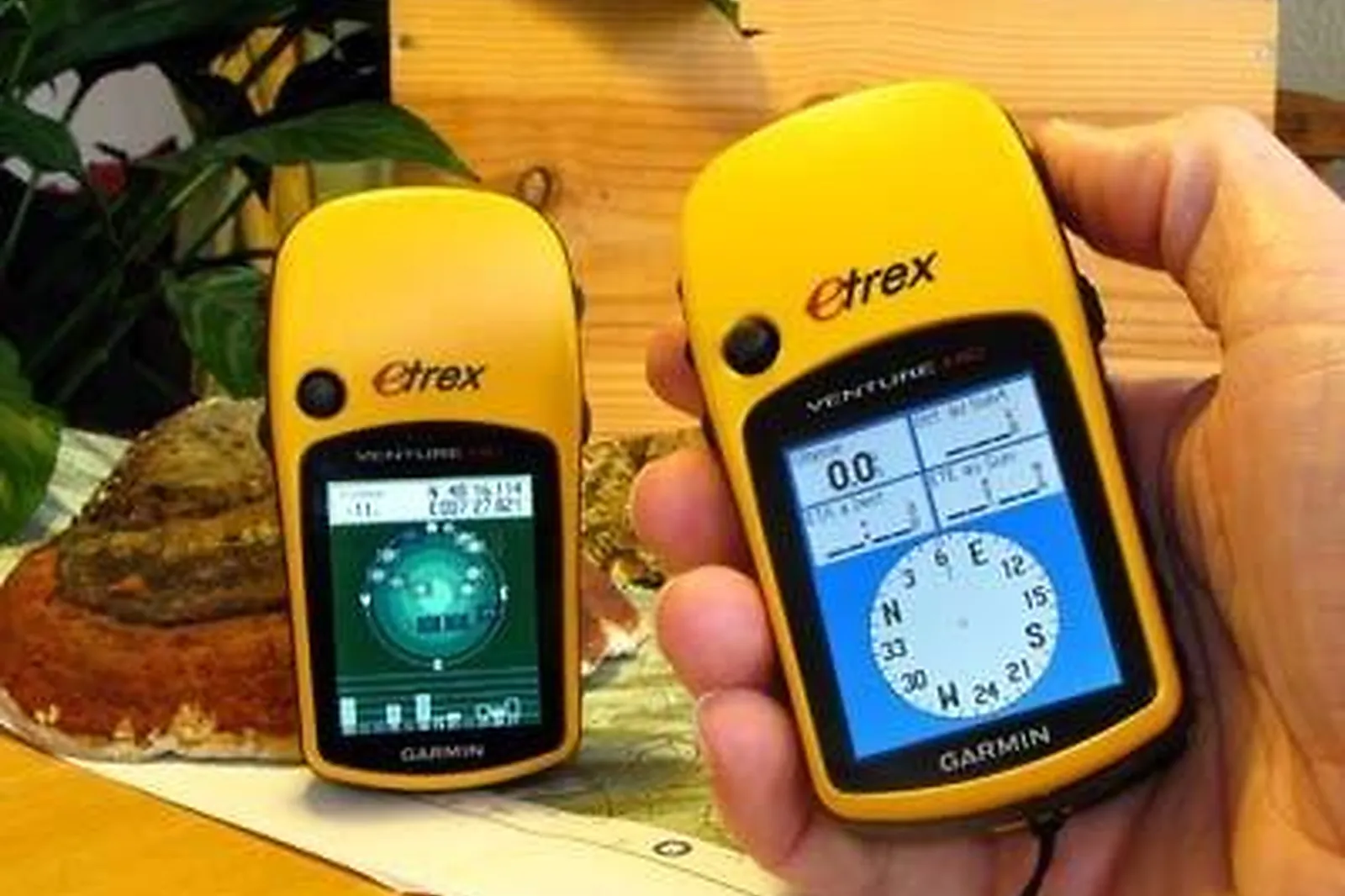 Team building sportif, TEAM BUILDING - EPFIG (BAS-RHIN) : MAORN