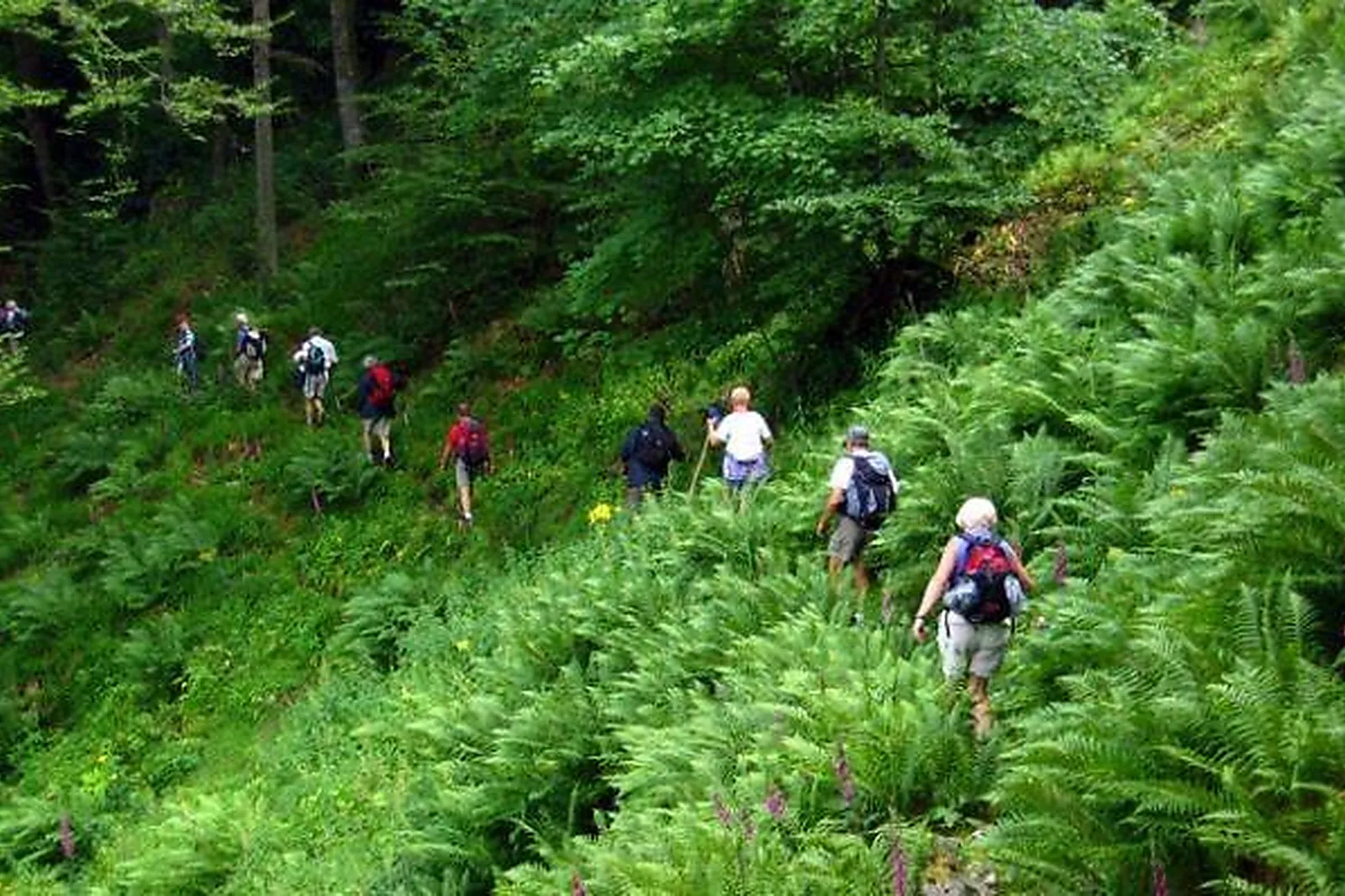 Team building sportif, TEAM BUILDING - EPFIG (BAS-RHIN) : MAORN