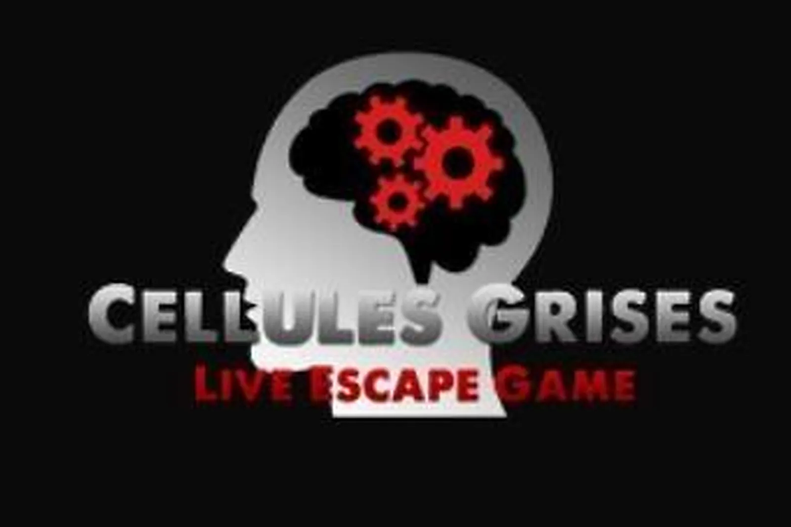 Team building insolite, TEAM BUILDING - EVREUX (EURE) : CELLULES GRISES