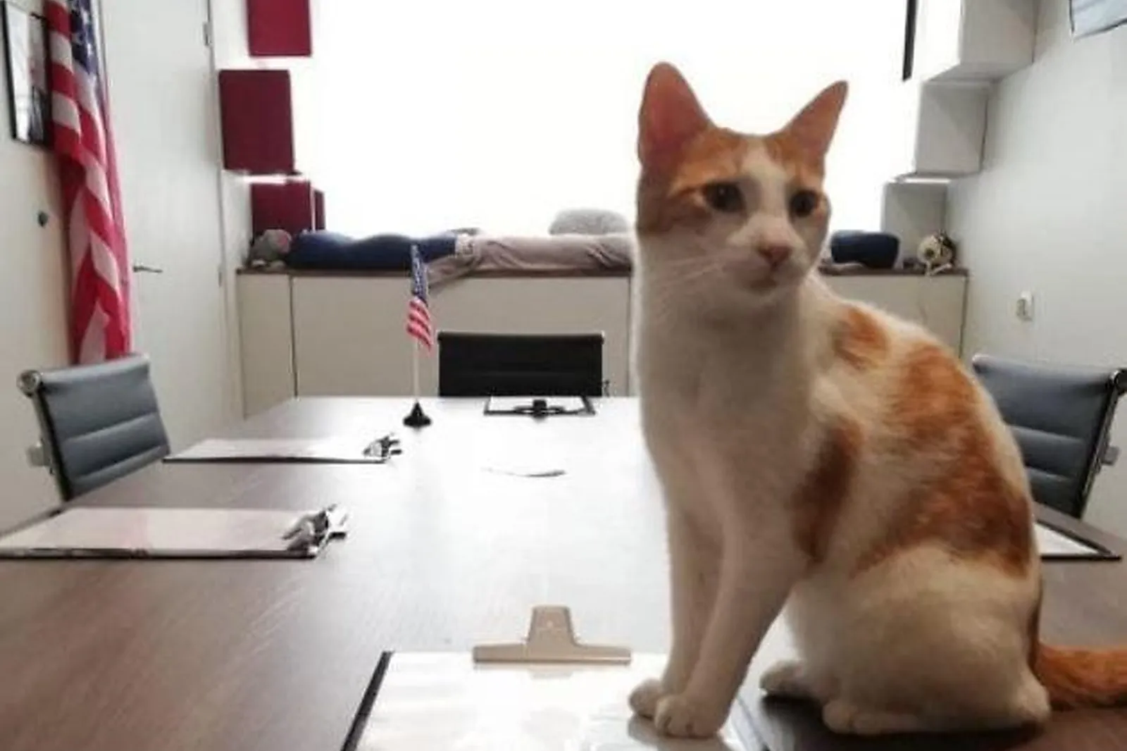 Team building en ligne, TEAM BUILDING - GRENOBLE (ISÈRE) : SMART LAB QUEST