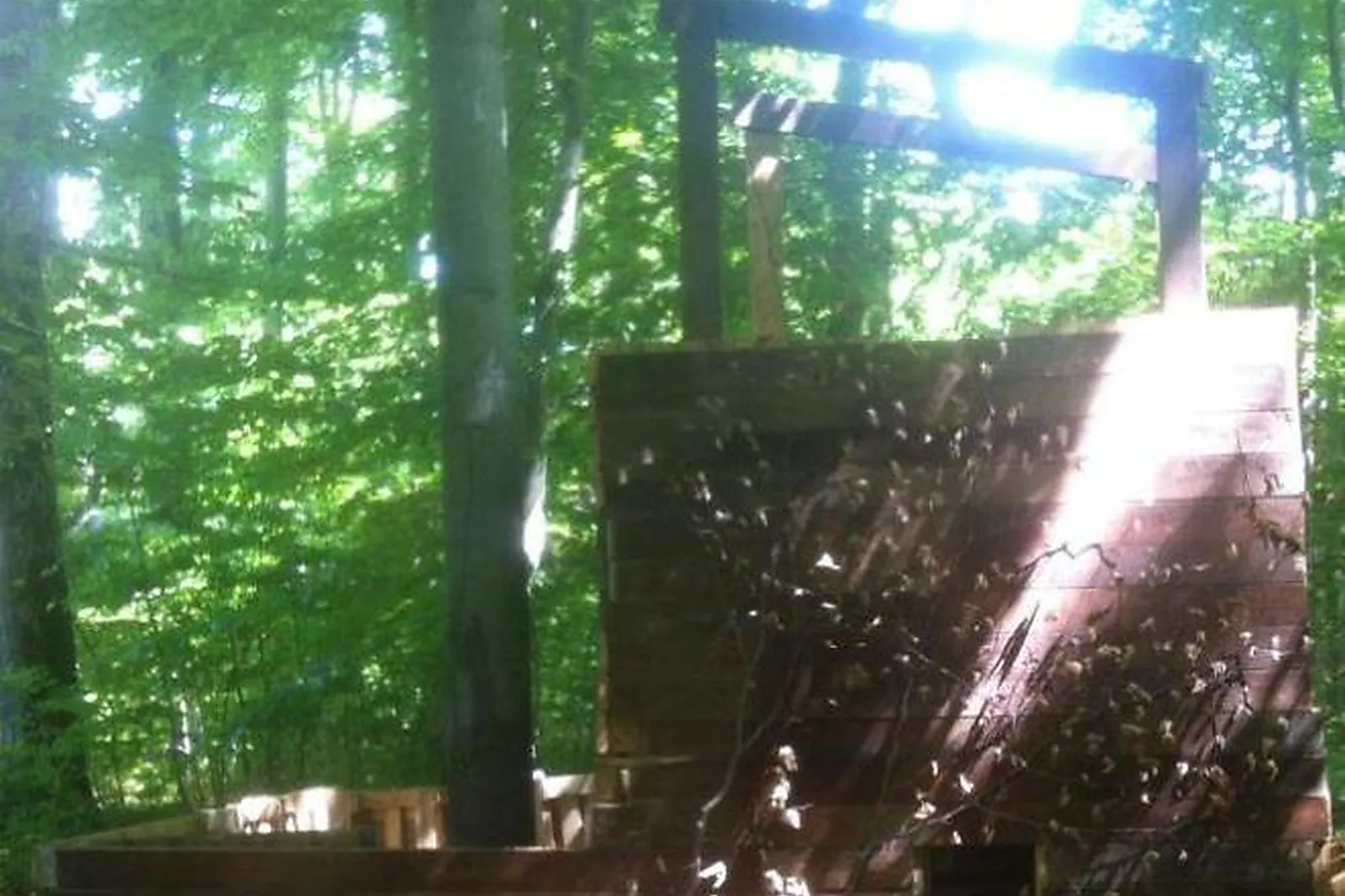 Team building sportif, TEAM BUILDING - HIRSINGUE (HAUT-RHIN) : PAINTBALL DES 3 VALLÉES