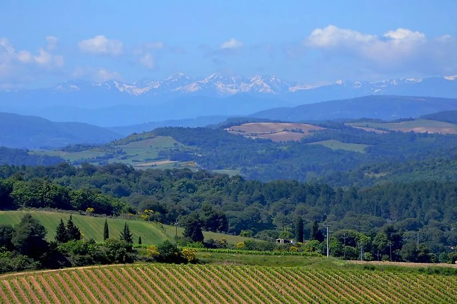 Team building original, TEAM BUILDING - LEUC (AUDE) : DOMAINE SAINT-MARTIN
