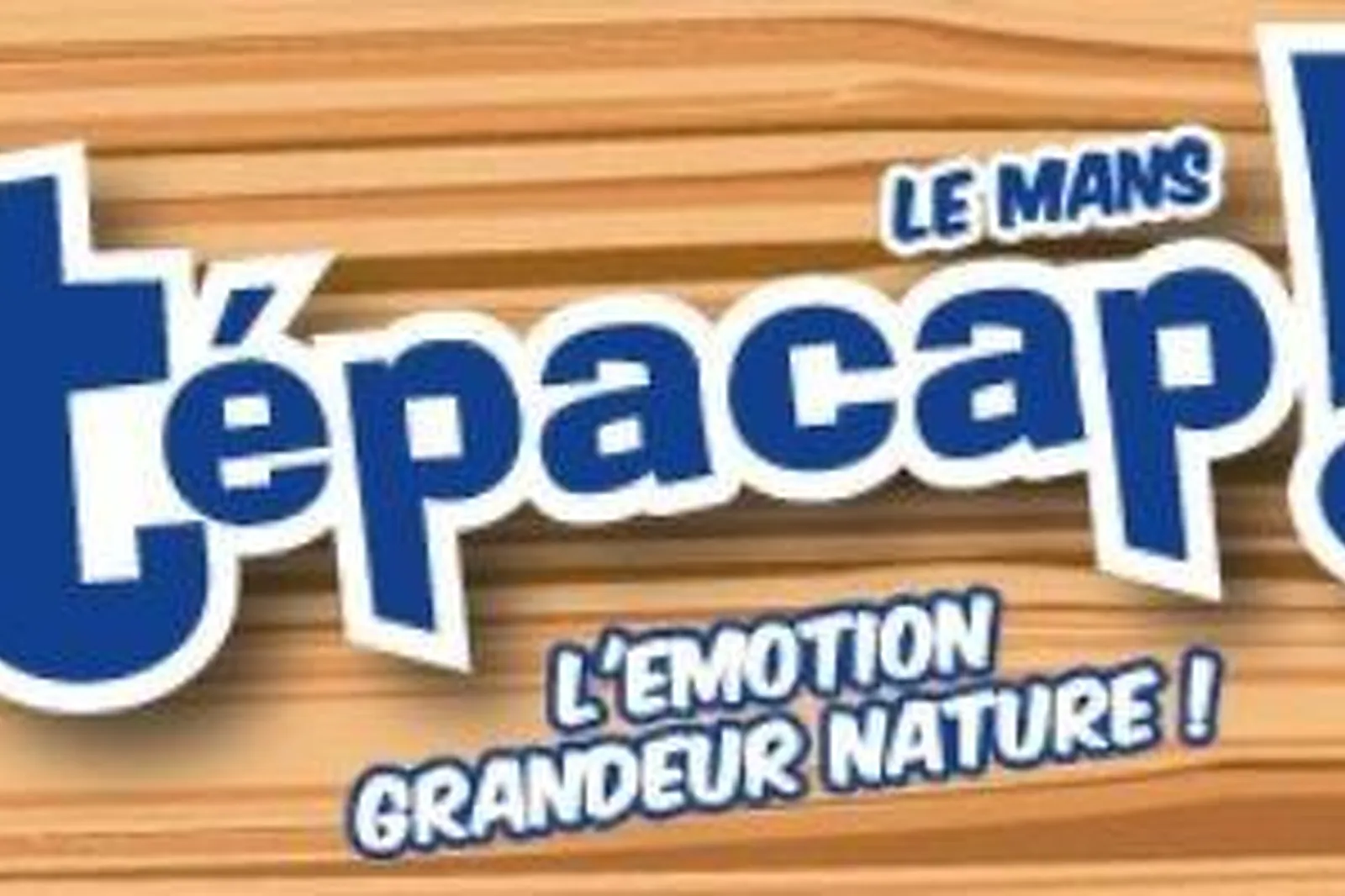 Team building sportif, TEAM BUILDING - LE MANS (SARTHE) : TEPACAP LE MANS