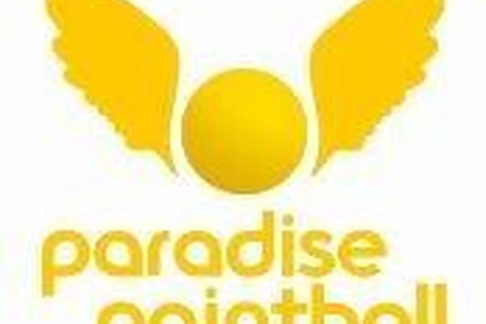 Team building sportif, TEAM BUILDING - MAREUIL-LES-MEAUX (SEINE-ET-MARNE) : PARADISE PAINTBALL