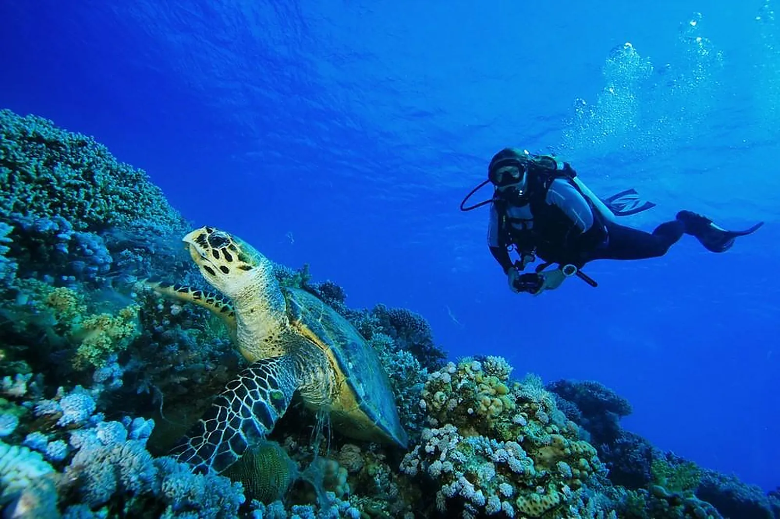 Team building voile, TEAM BUILDING - MARSEILLE (BOUCHES-DU-RHÔNE) : DUNE MARSEILLE