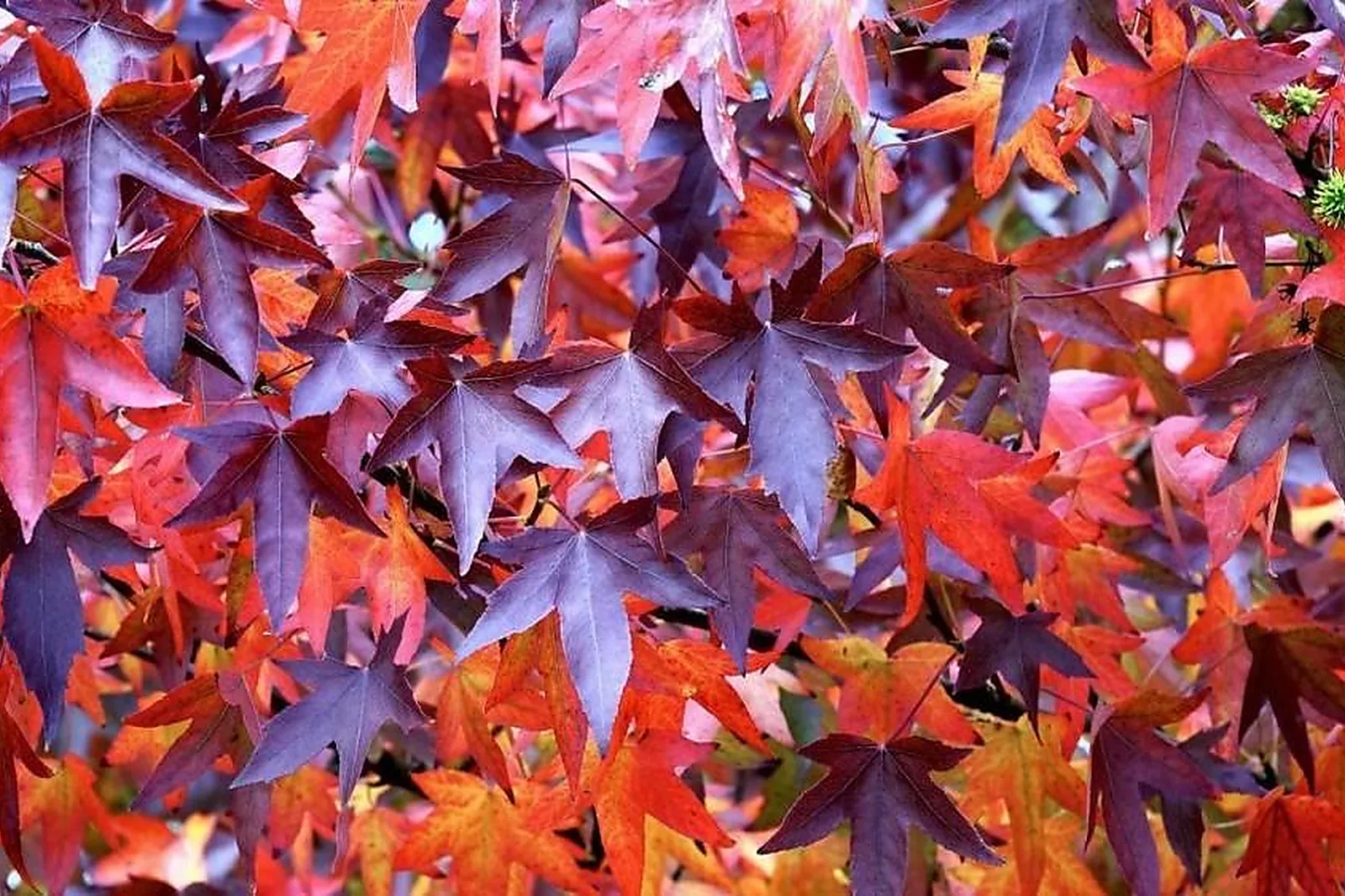 Team building original, TEAM BUILDING - MARSEILLE (BOUCHES-DU-RHÔNE) : SEGWAY MARSEILLE