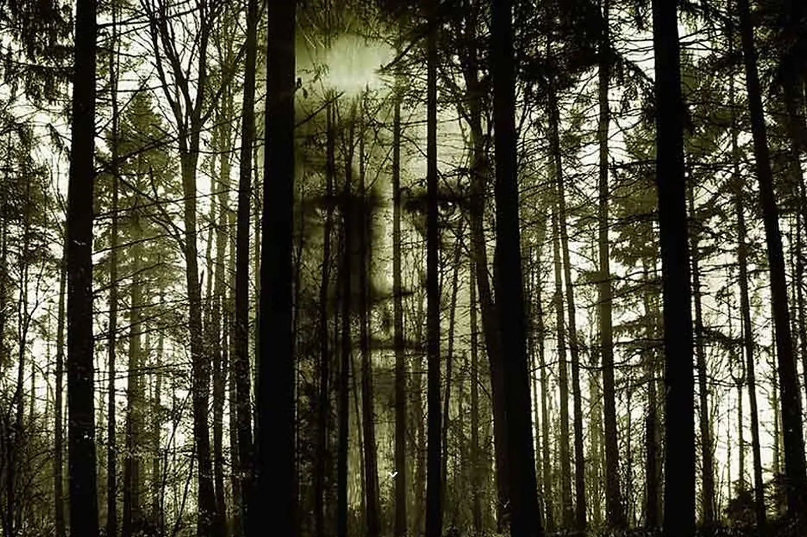 Team building insolite, TEAM BUILDING - MARSEILLE (BOUCHES-DU-RHÔNE) : THE DARK DREAMS