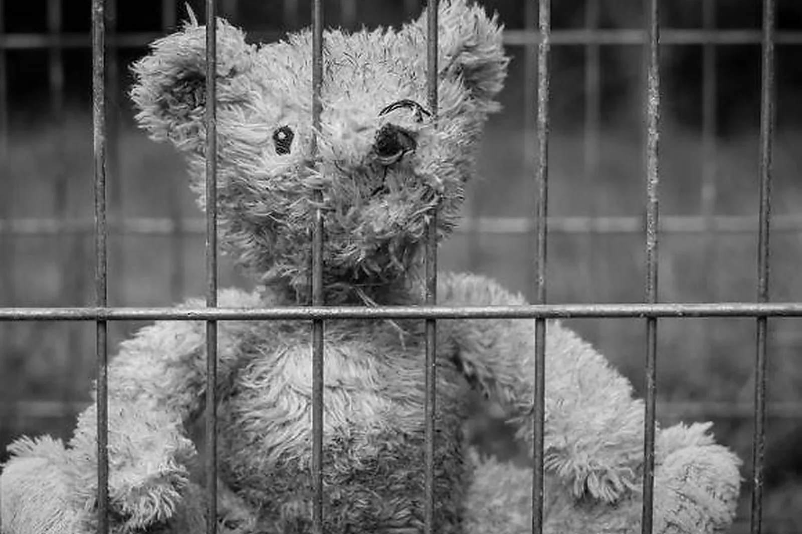 Team building insolite, TEAM BUILDING - MONTELIMAR (DRÔME) : TEAM QUEST