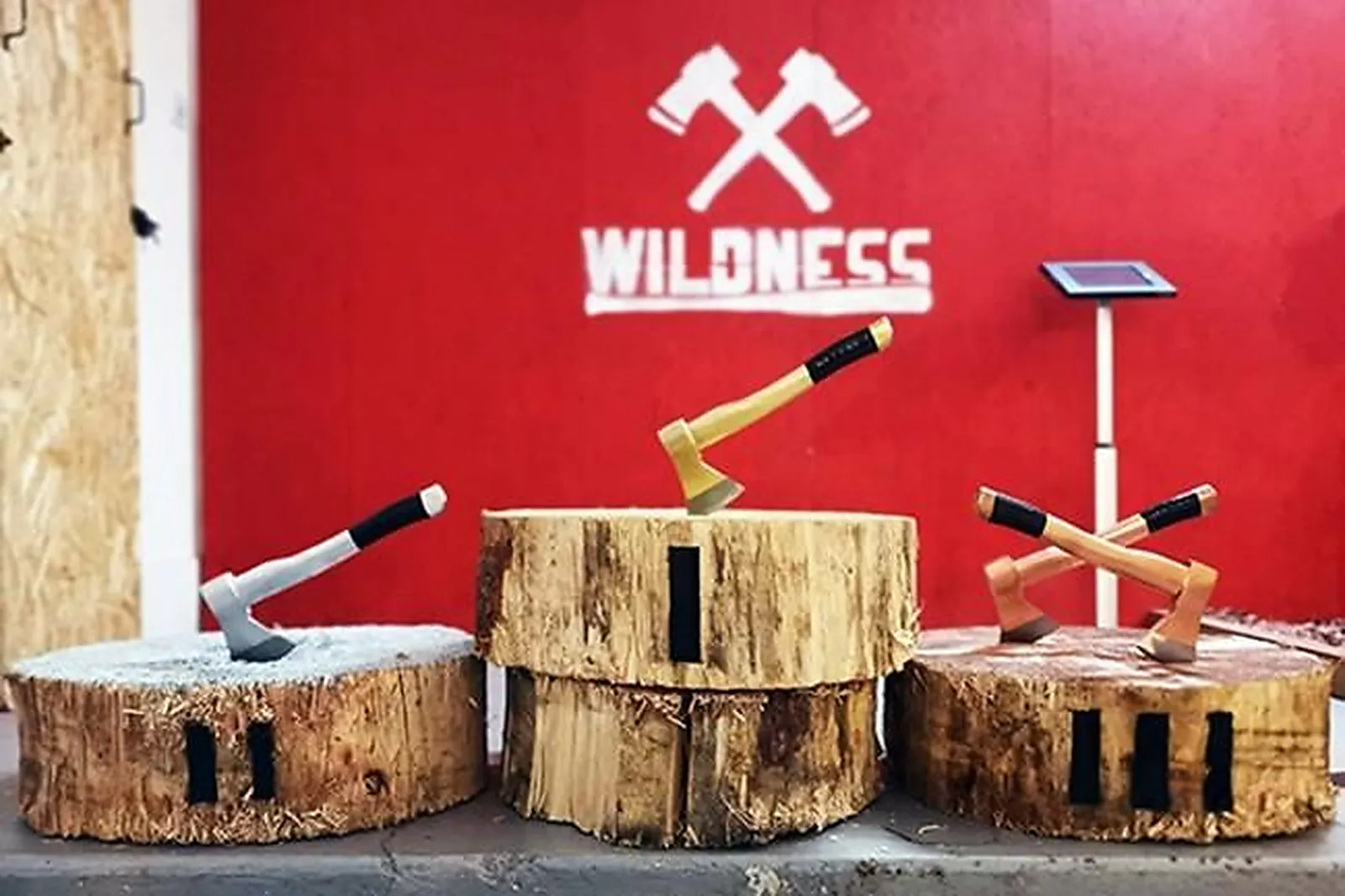 Team building insolite, TEAM BUILDING - NANCY (MEURTHE-ET-MOSELLE) : WILDNESS