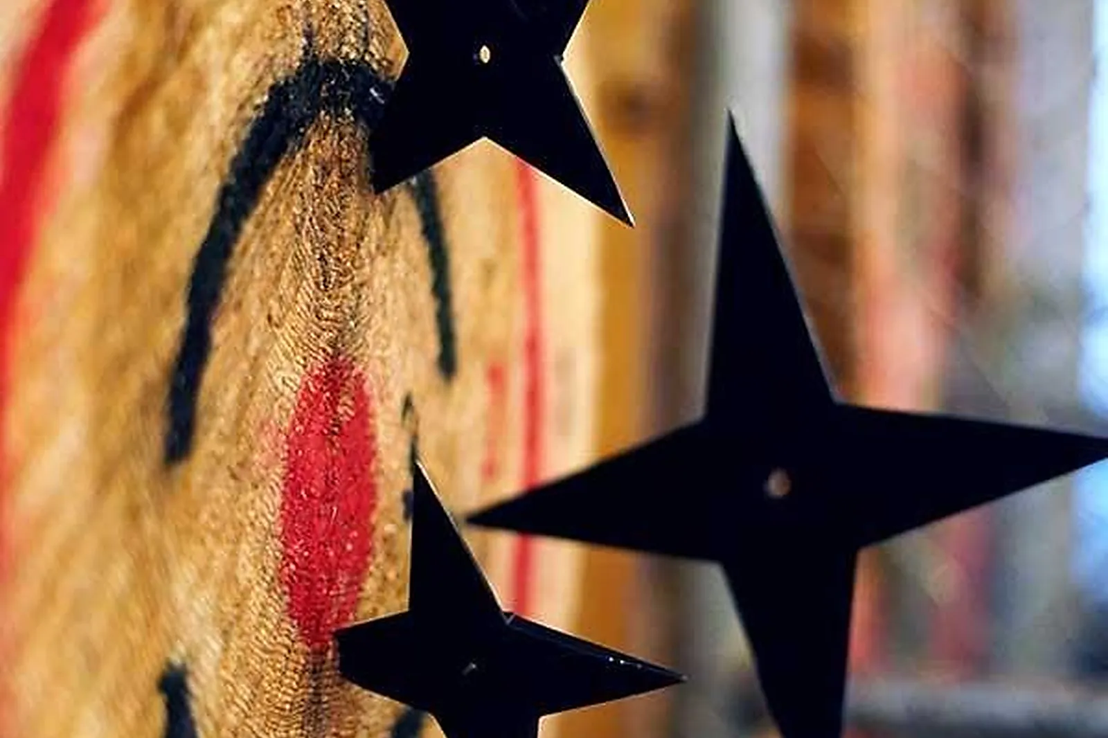 Team building insolite, TEAM BUILDING - NANCY (MEURTHE-ET-MOSELLE) : WILDNESS