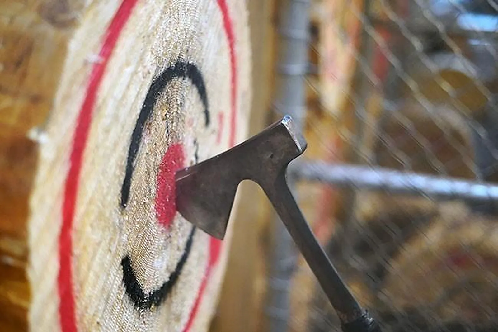 Team building insolite, TEAM BUILDING - NANCY (MEURTHE-ET-MOSELLE) : WILDNESS