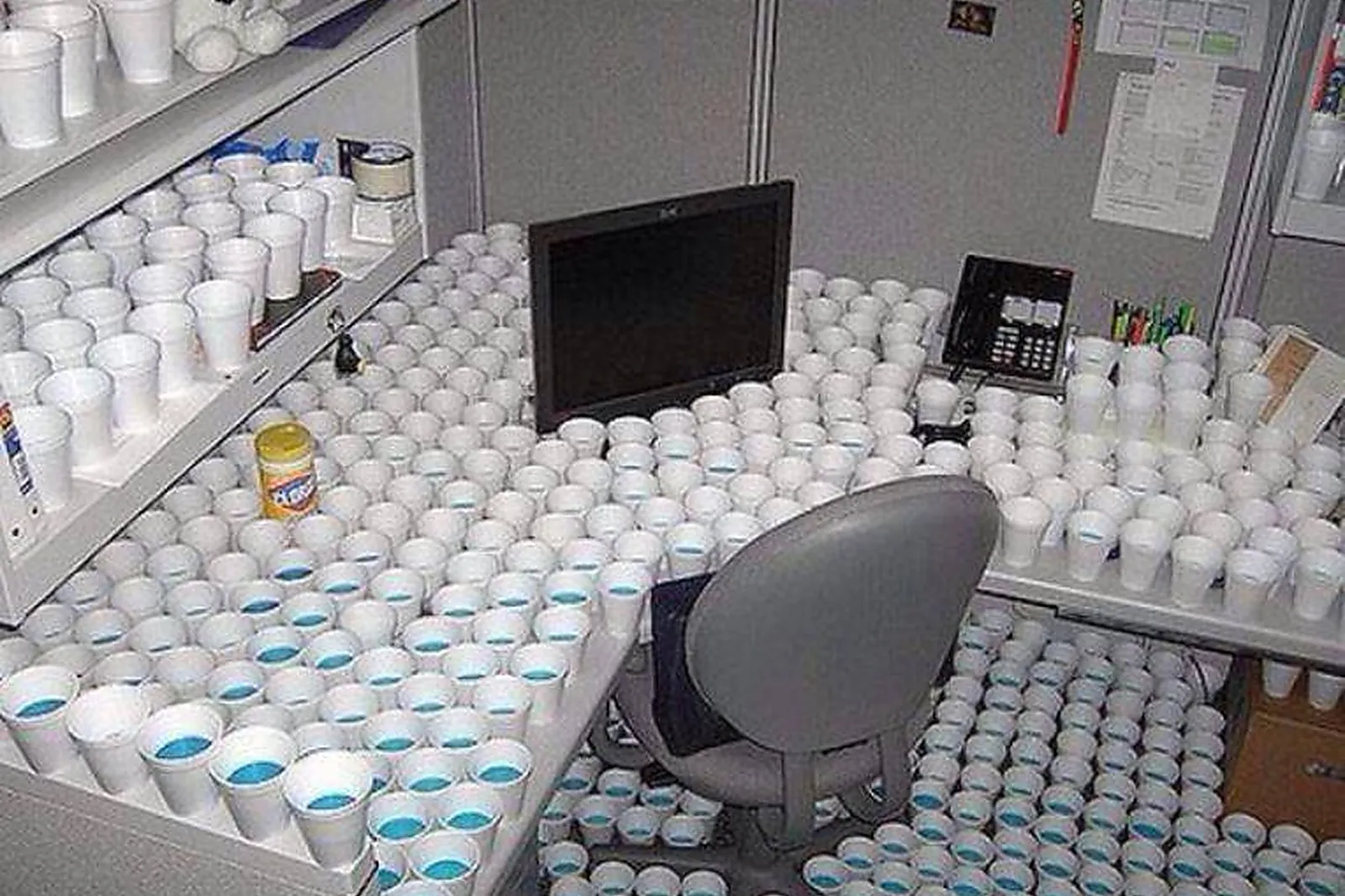 Team building insolite, TEAM BUILDING - PALAISEAU (ESSONNE) : PARIS HORS PISTE