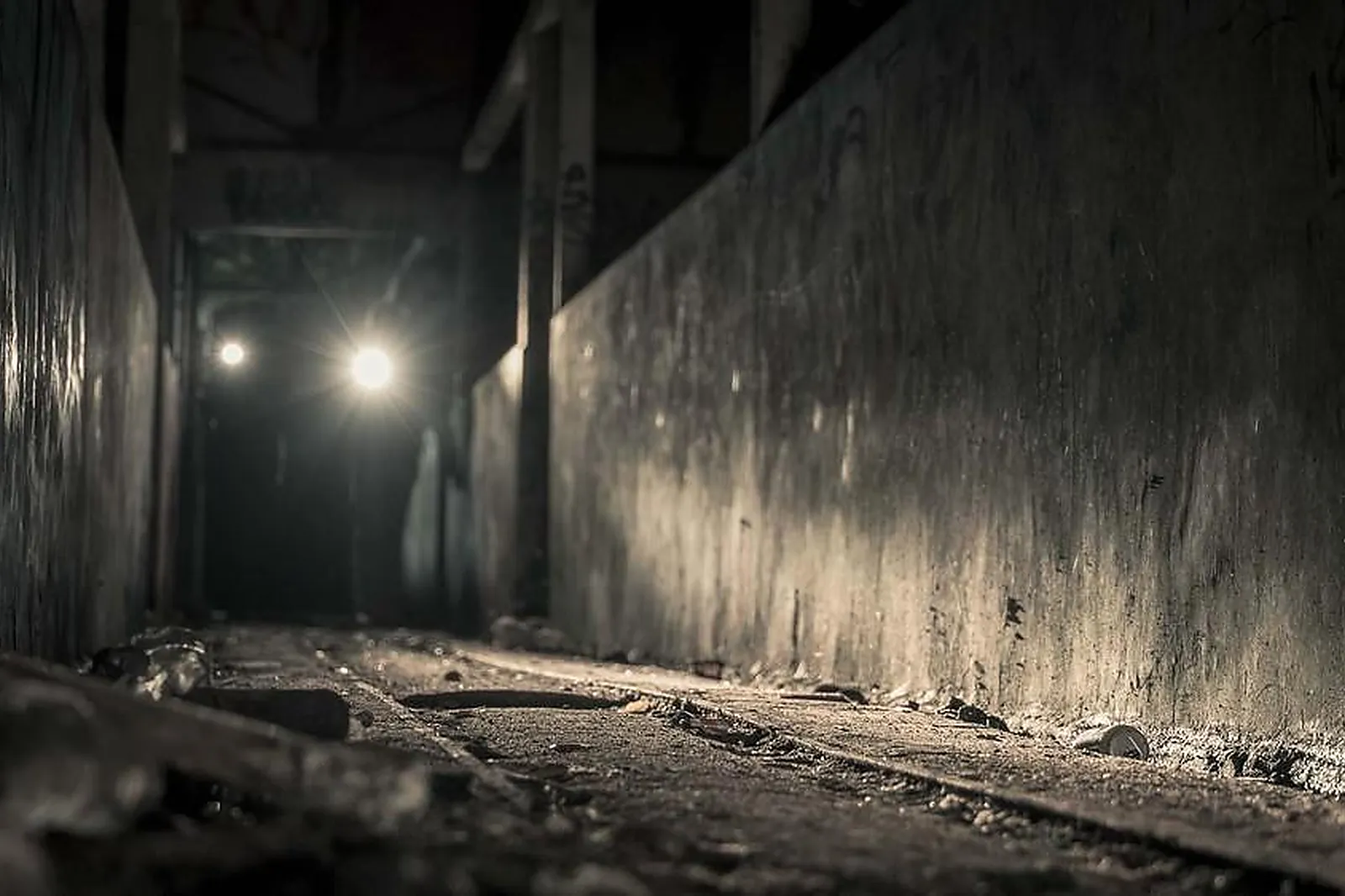 Team building insolite, TEAM BUILDING - PARIS (PARIS) : BORDER LIVE