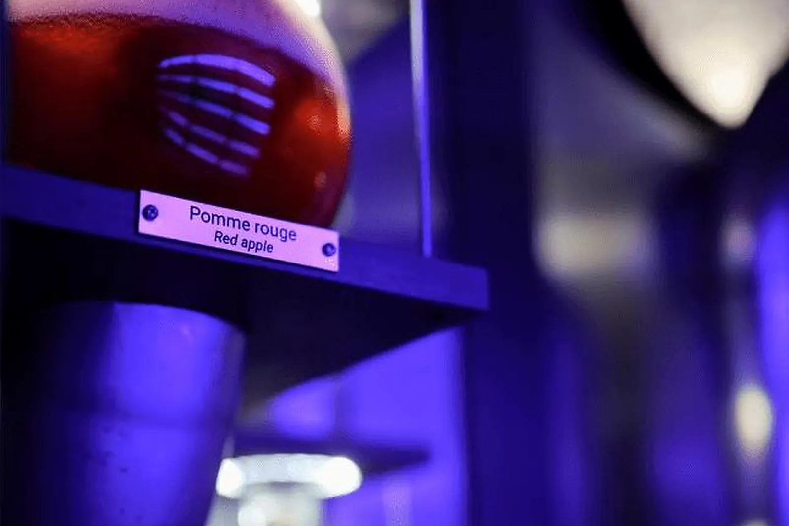 Team building insolite, TEAM BUILDING - PARIS (PARIS) : PANDORE ET ASSOCIÉS