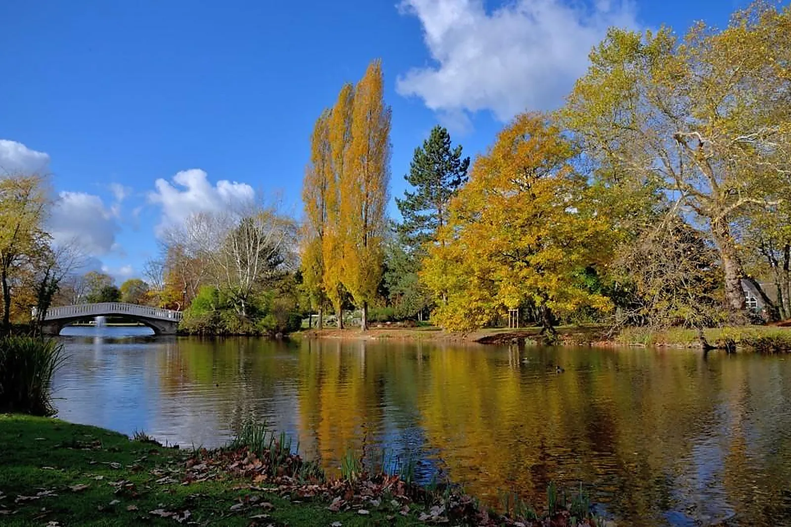 Team building original, TEAM BUILDING - PARIS (PARIS) : TUKTUK SO FRENCH