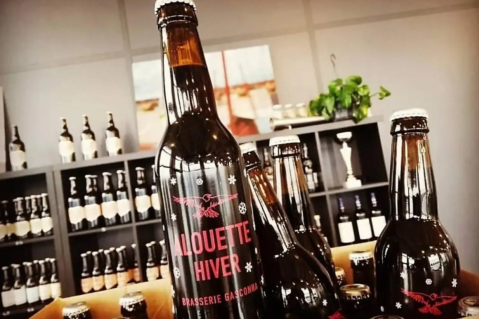 Team building insolite, TEAM BUILDING - PESSAC (GIRONDE) : LES FRÈRES JACKS