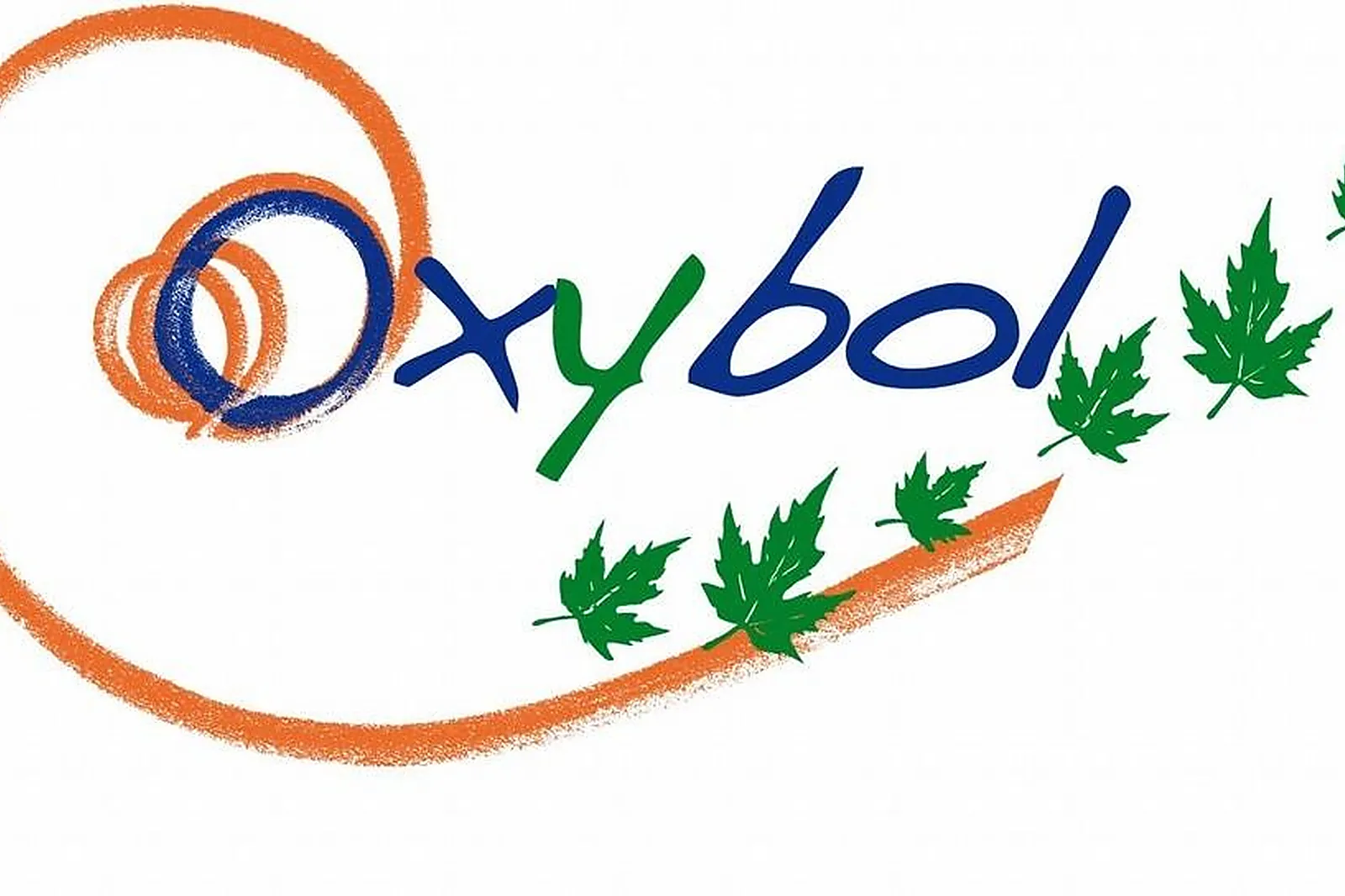 Team building sportif, TEAM BUILDING - PLAISIR (YVELINES) : OXYBOL