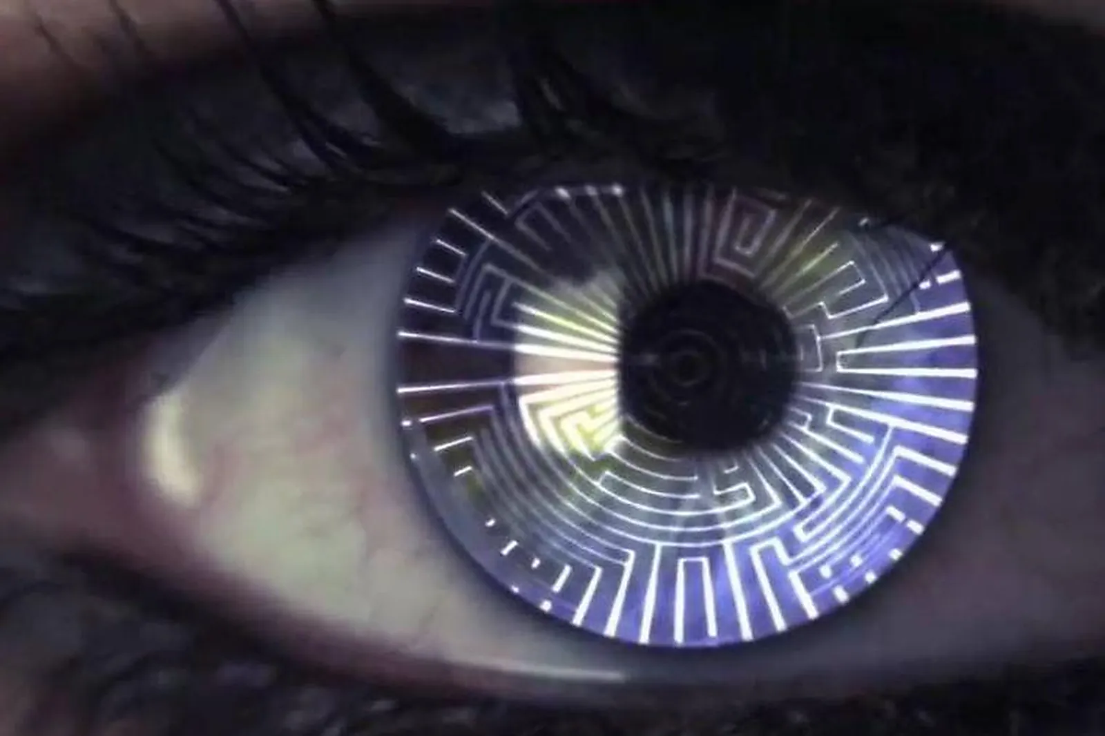 Team building insolite, TEAM BUILDING - PUGET-SUR-ARGENS (VAR) : PRIZONERS PUGET-SUR-ARGENS