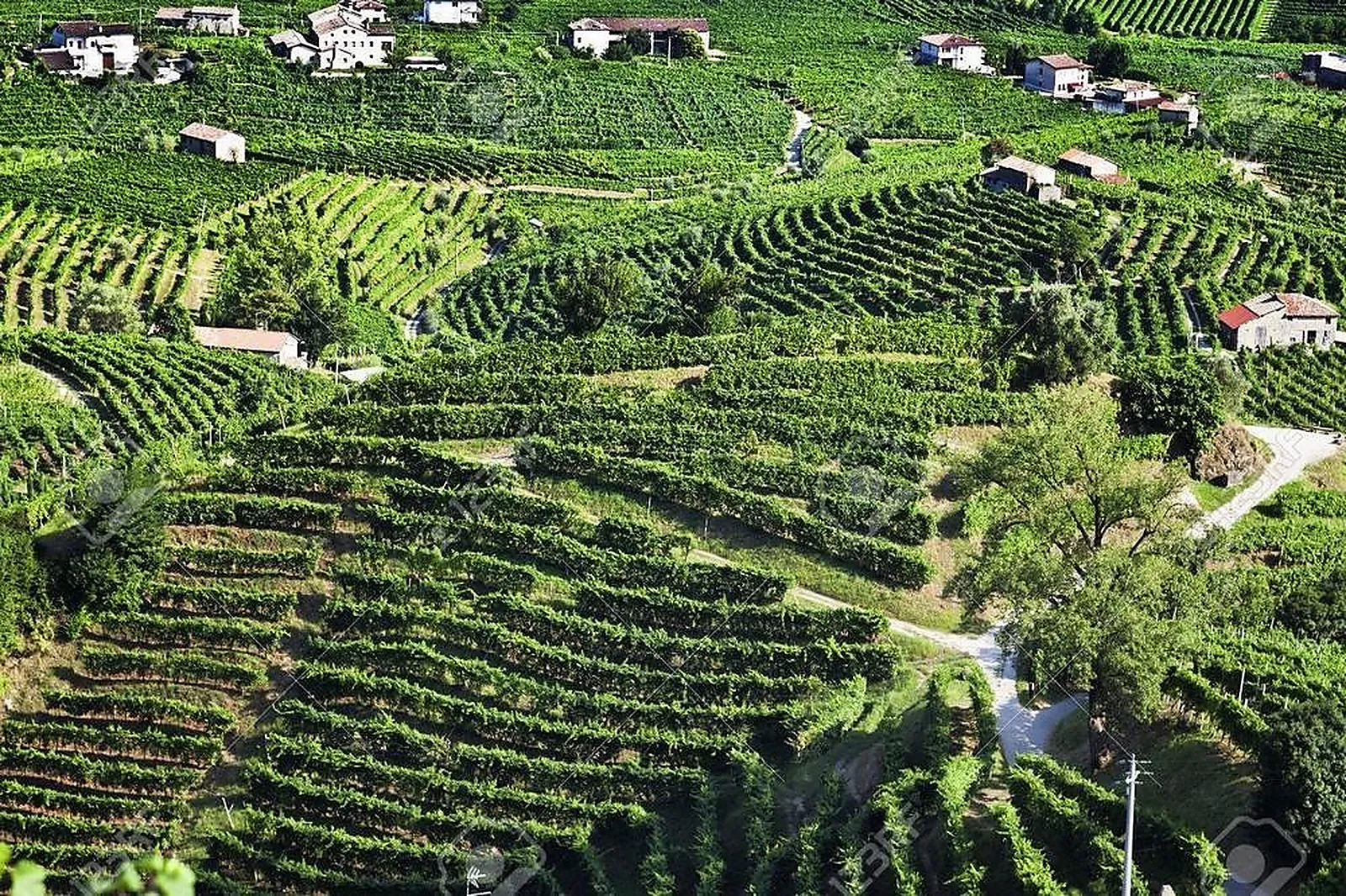 Team building original, TEAM BUILDING - PREMIERFAIT (AUBE) : OENOSPHERES