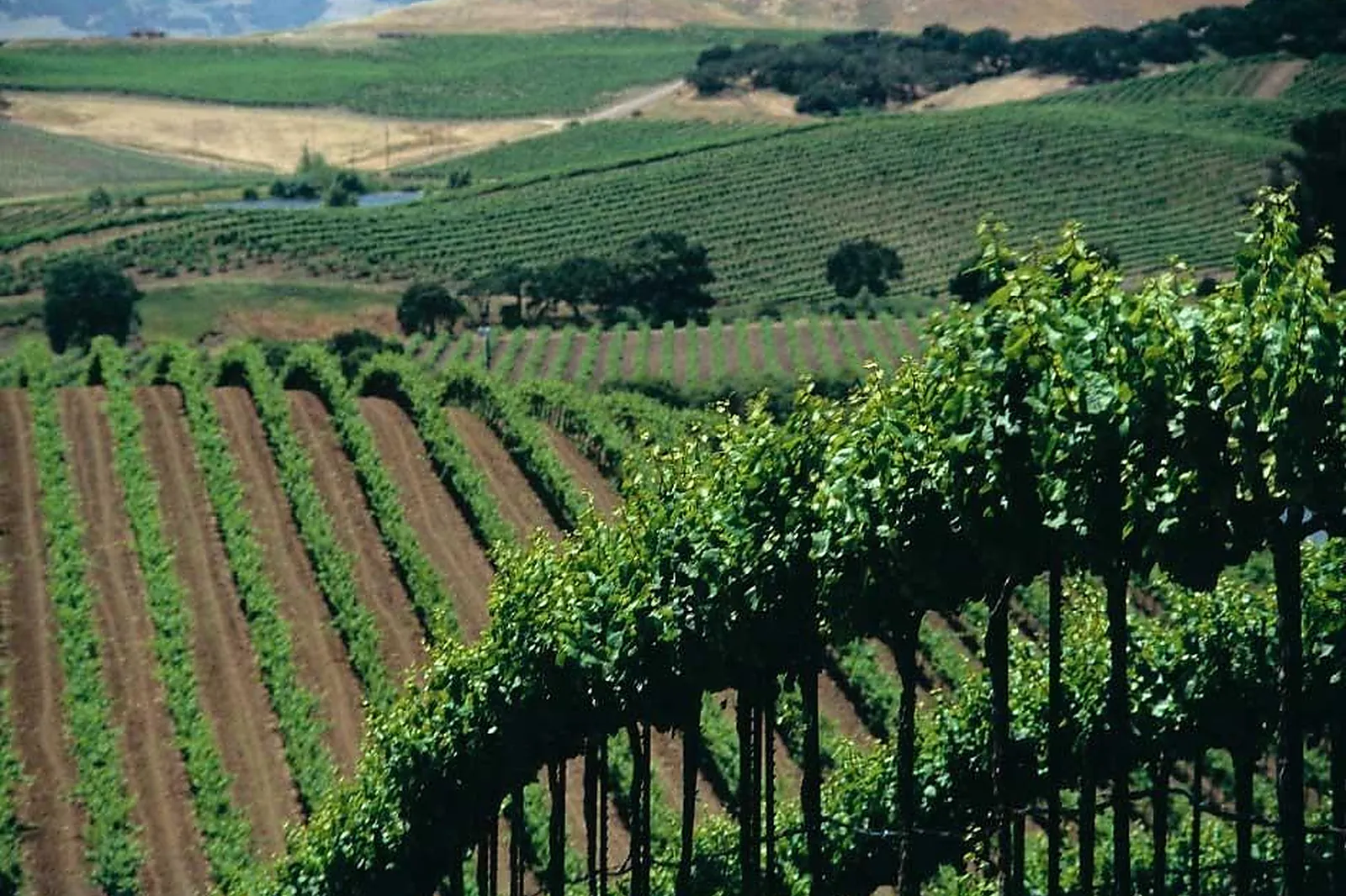 Team building original, TEAM BUILDING - REIMS (MARNE) : TAITTINGER