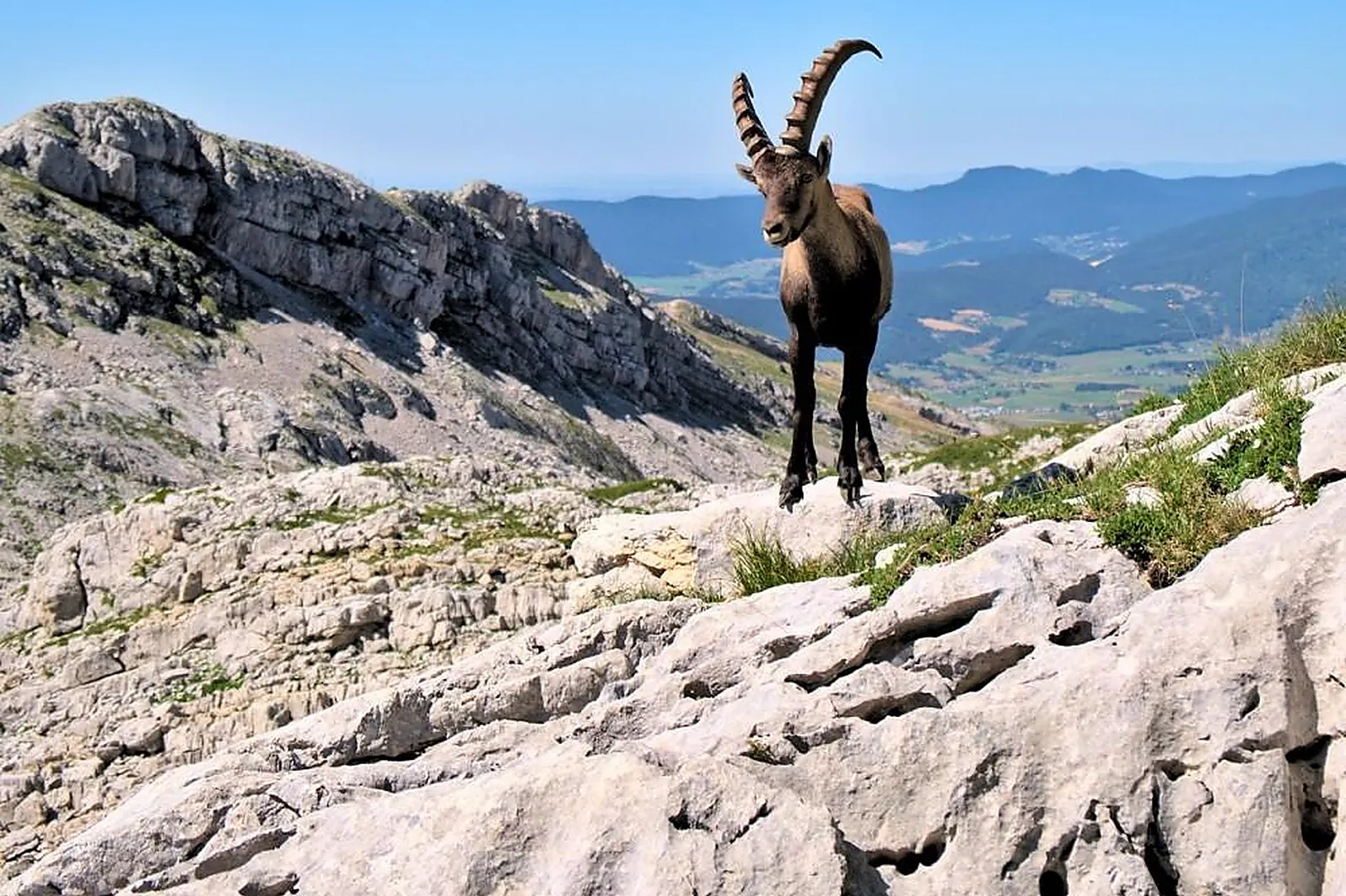 Team building sportif, TEAM BUILDING - SAINT-FIRMIN (HAUTES-ALPES) : ALTIMOOD : TEAM BUILDING NATURE ET MONTAGNE