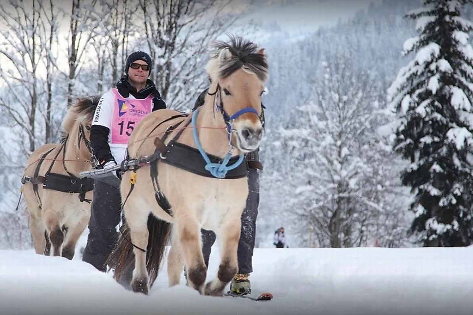 Team building original, TEAM BUILDING - SAINT-JEAN-DE-SIXT (HAUTE-SAVOIE) : OXYGÈNE ORGANISATION