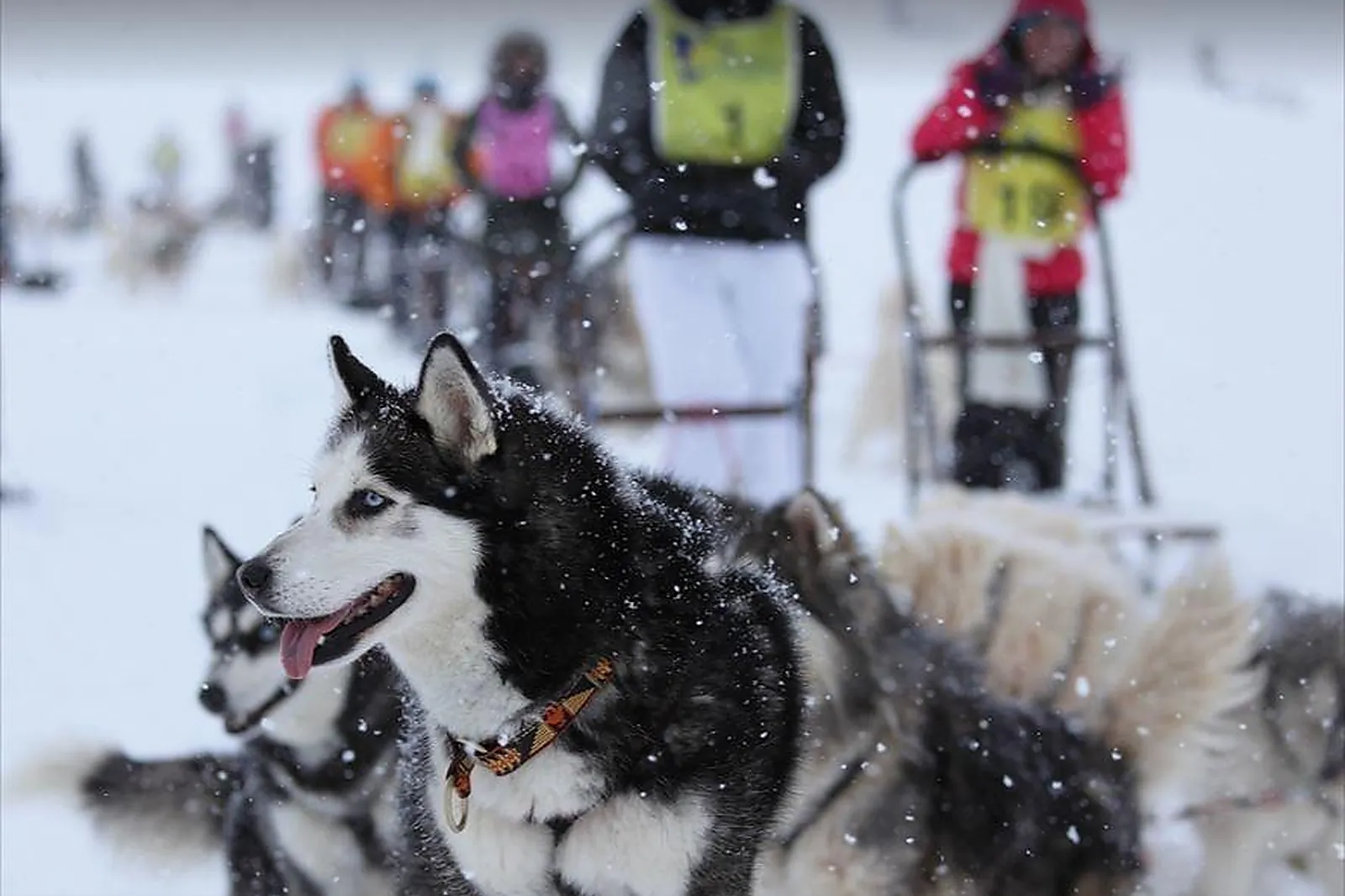 Team building original, TEAM BUILDING - SAINT-JEAN-DE-SIXT (HAUTE-SAVOIE) : OXYGÈNE ORGANISATION
