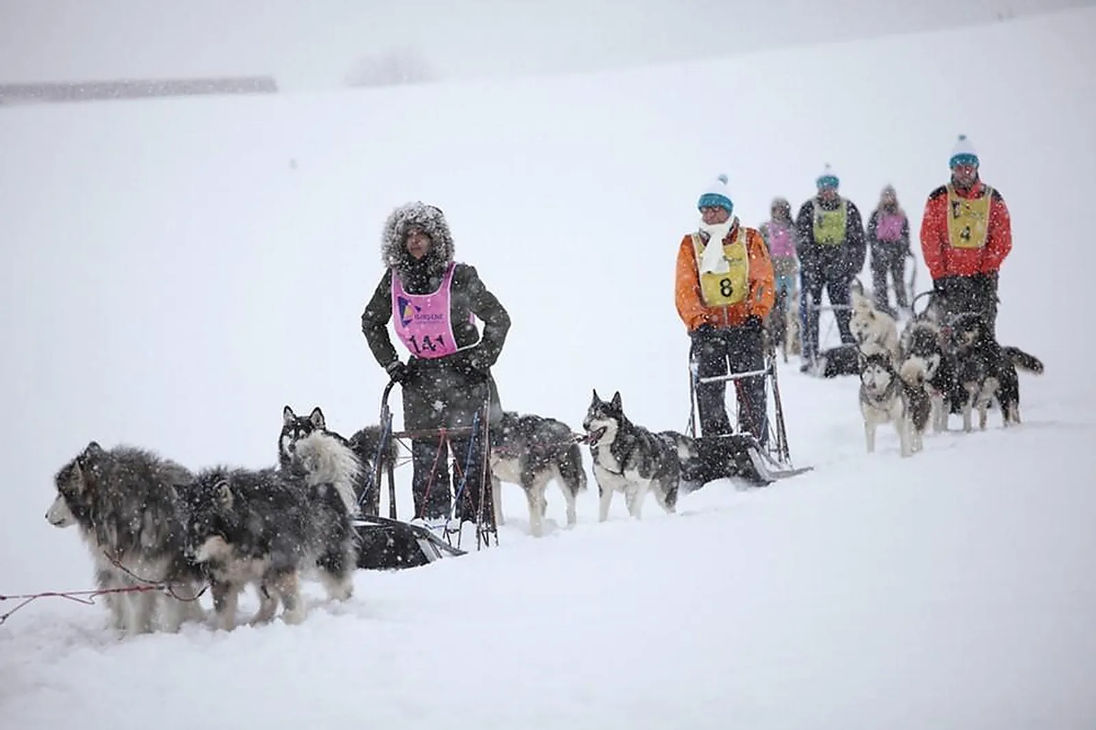 Team building original, TEAM BUILDING - SAINT-JEAN-DE-SIXT (HAUTE-SAVOIE) : OXYGÈNE ORGANISATION