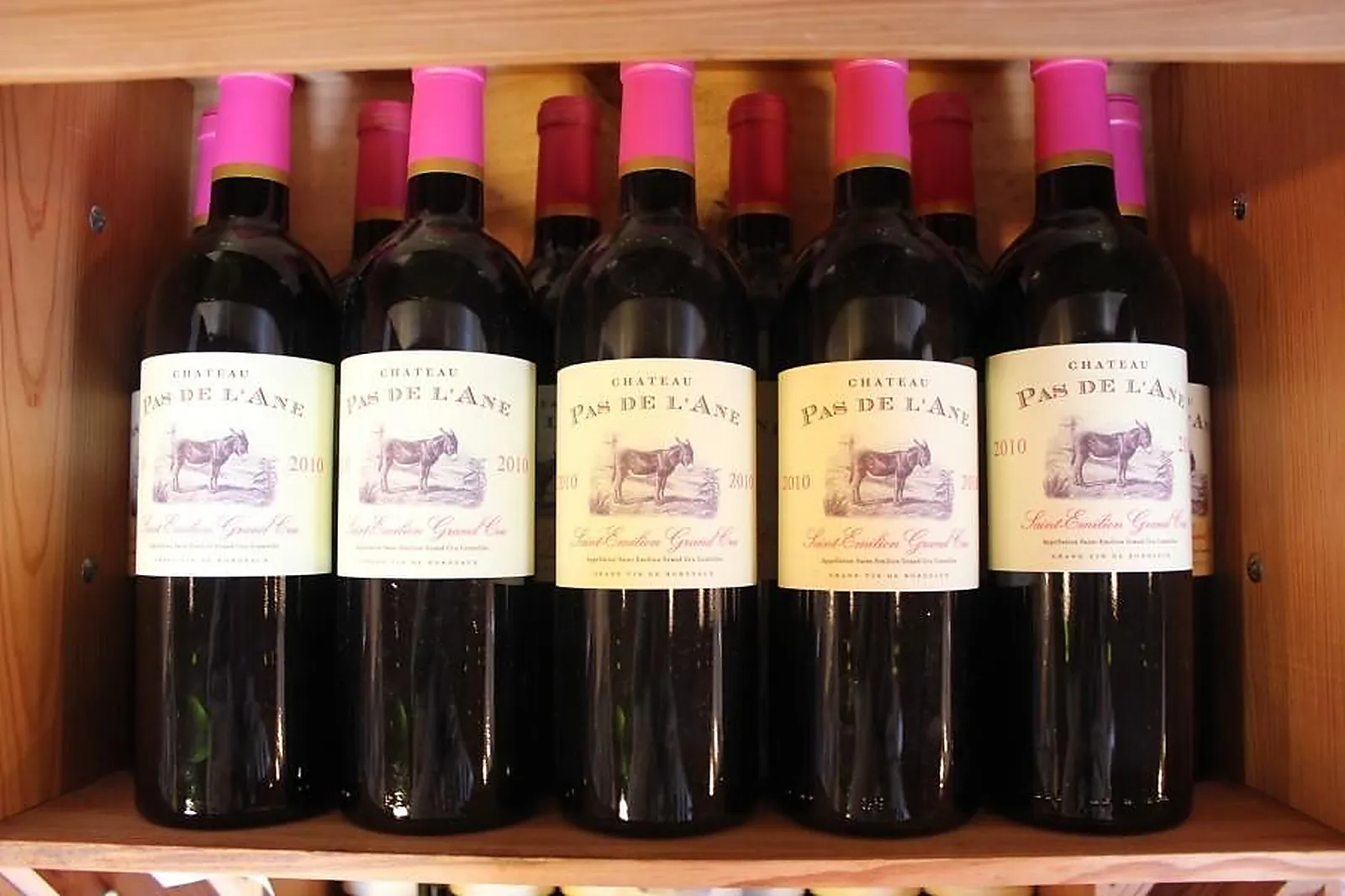 Team building original, TEAM BUILDING - SAINT-LOUBES (GIRONDE) : OENANIM